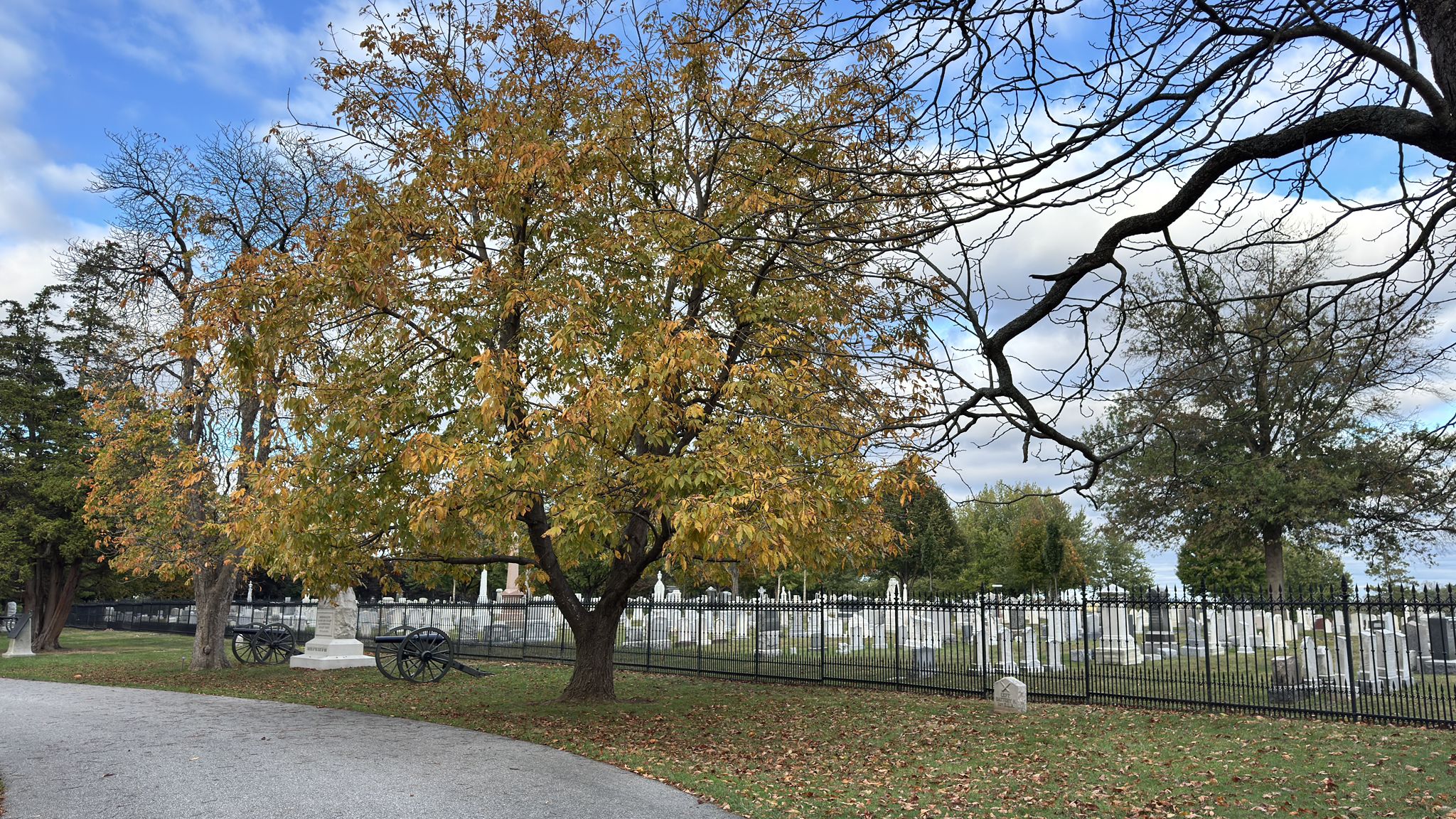 Cemetery with gravestones, autumn trees, and a black fence under a blue sky. - BicyclePA Route J2: Gettysburg National Park Loop