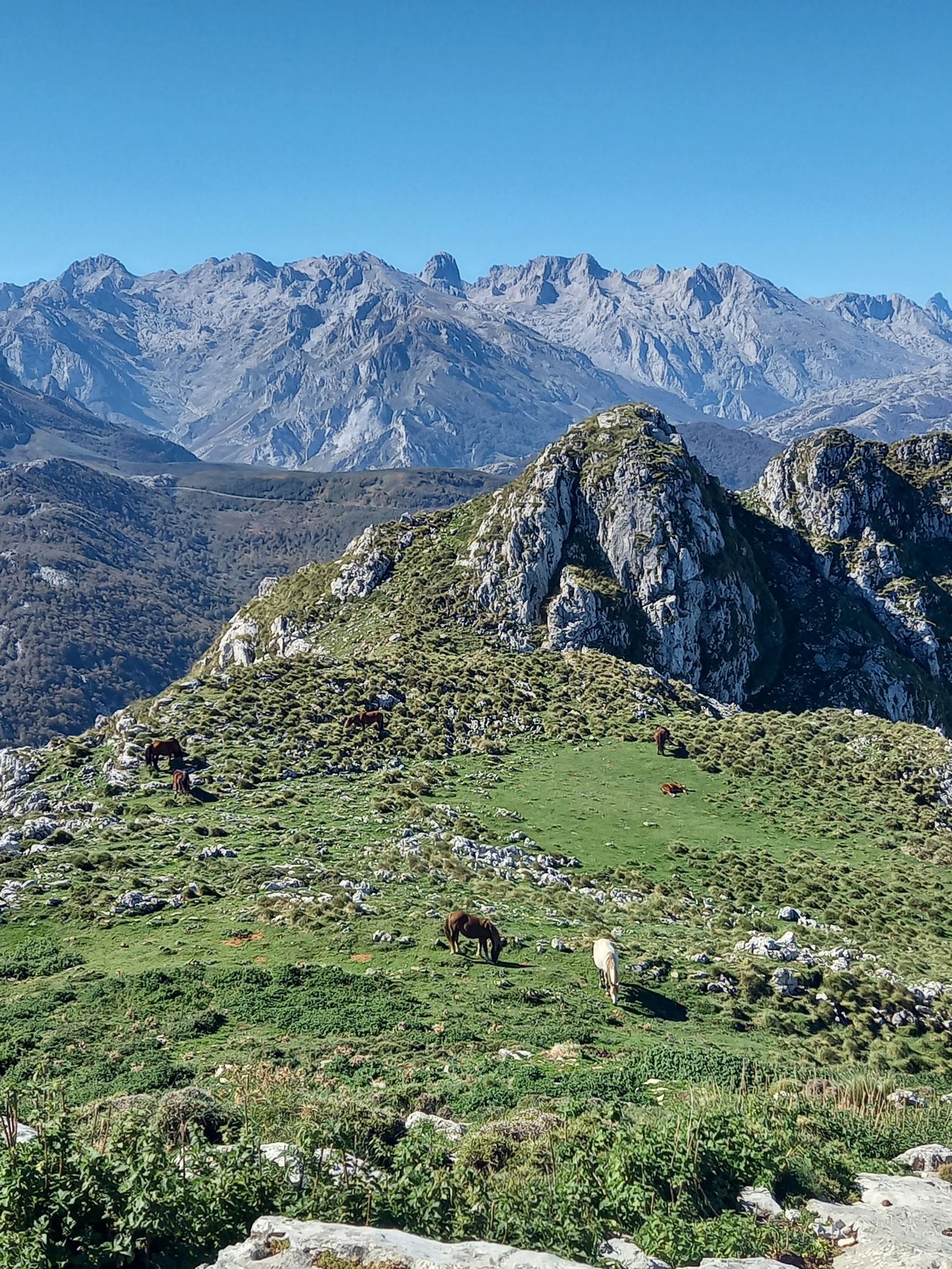 Aussicht vom Gipfel