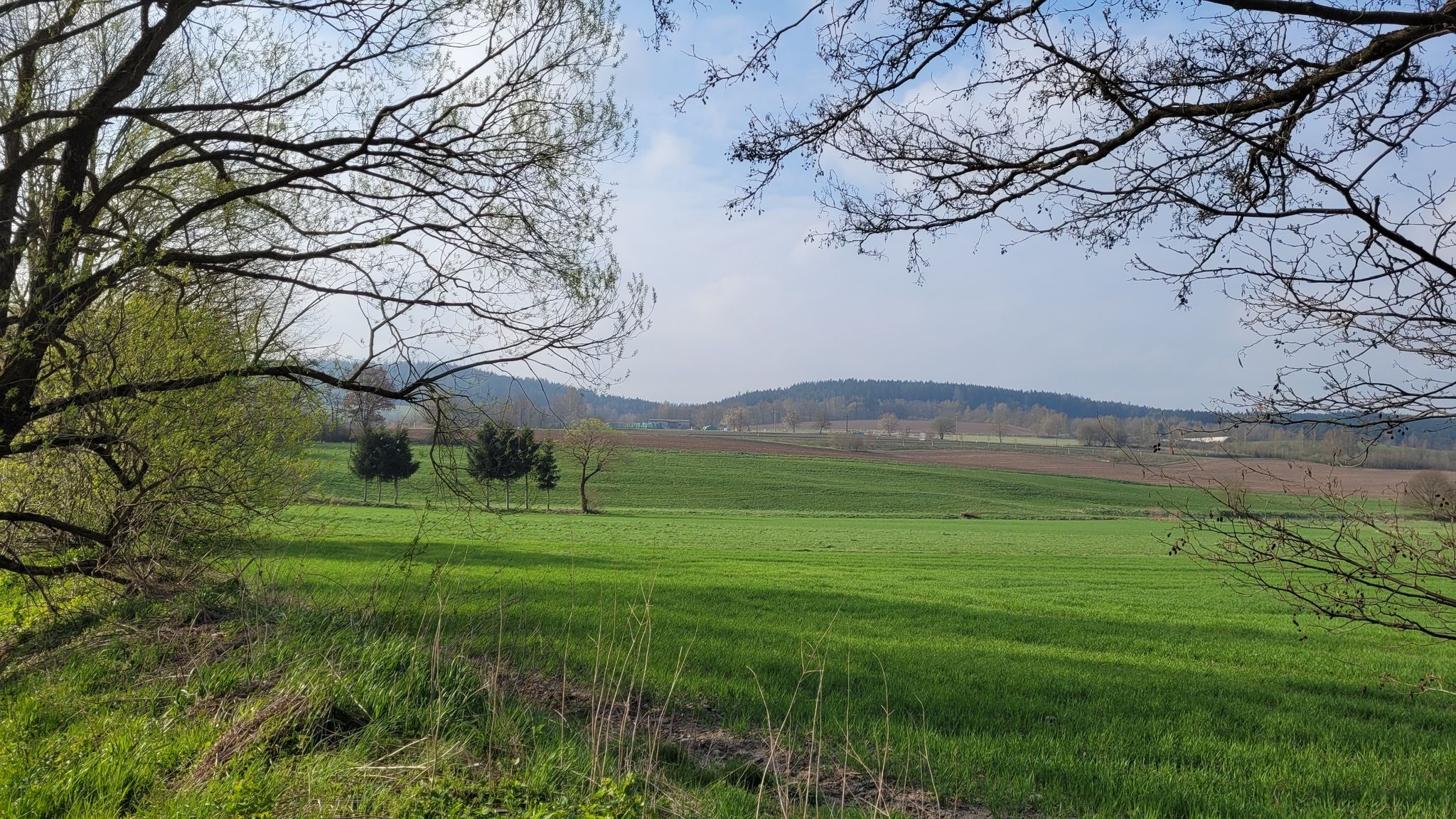 Da hinauf!