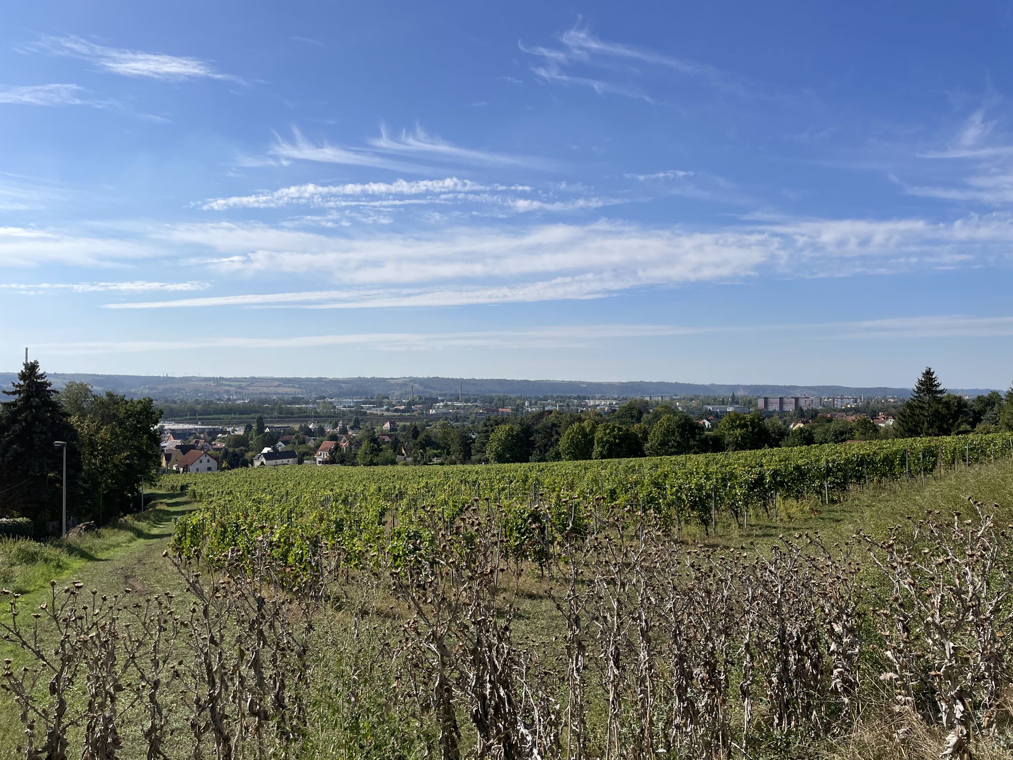 Blick über Radebeul