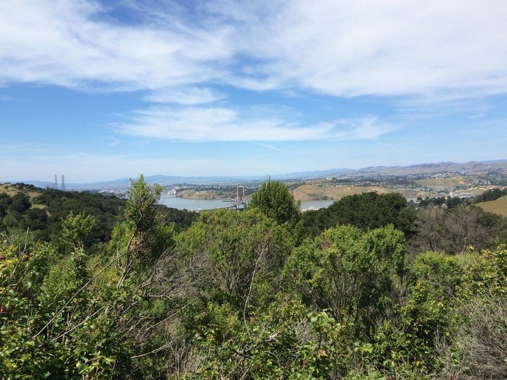 Panoramic view of a distant city and water under a bright blue sky. - Crockett Hills Bay Area Ridge Trail Loop