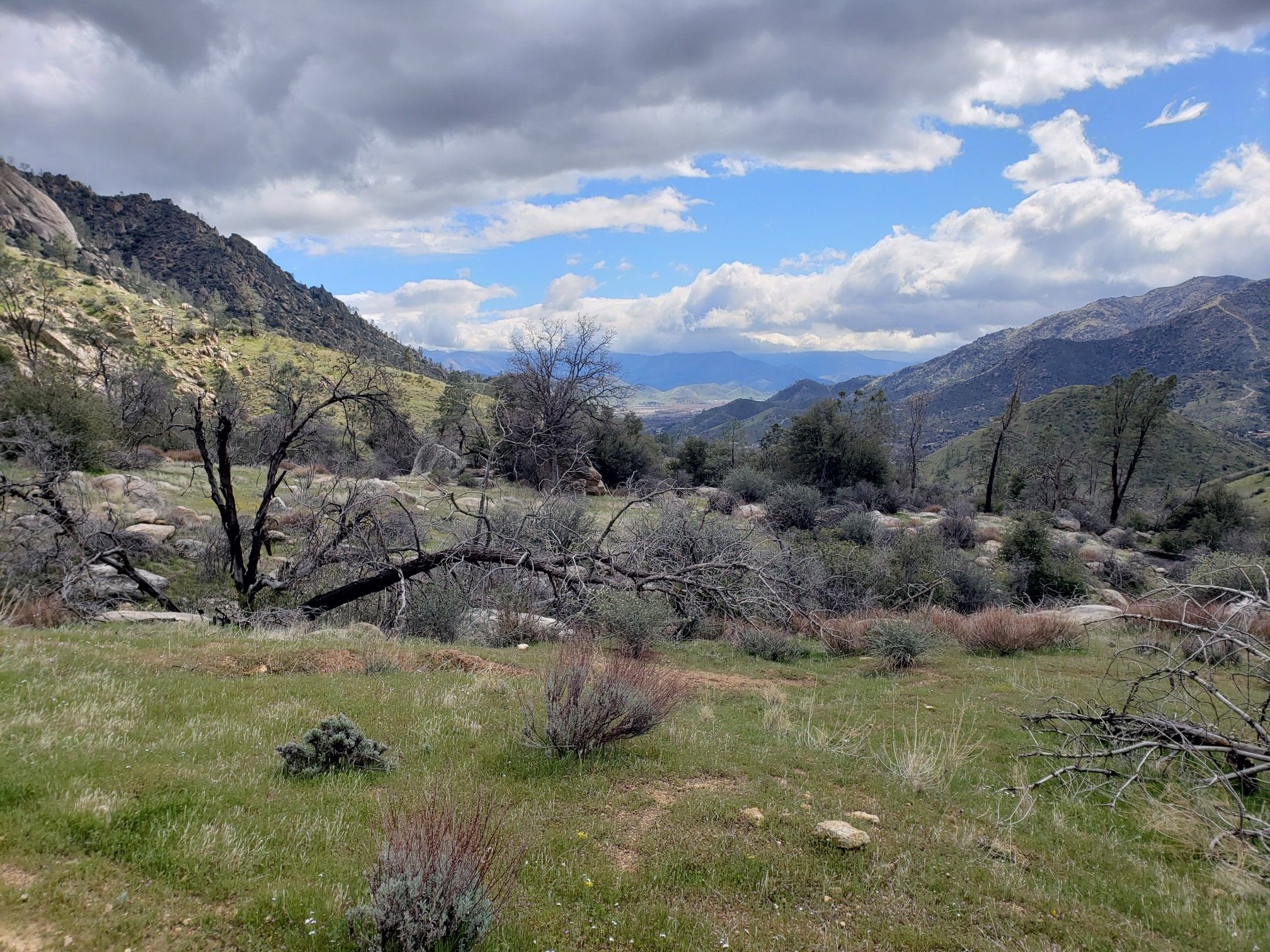Mountain valley with green grass, sparse trees, and a partly cloudy sky. - Powers Peak
