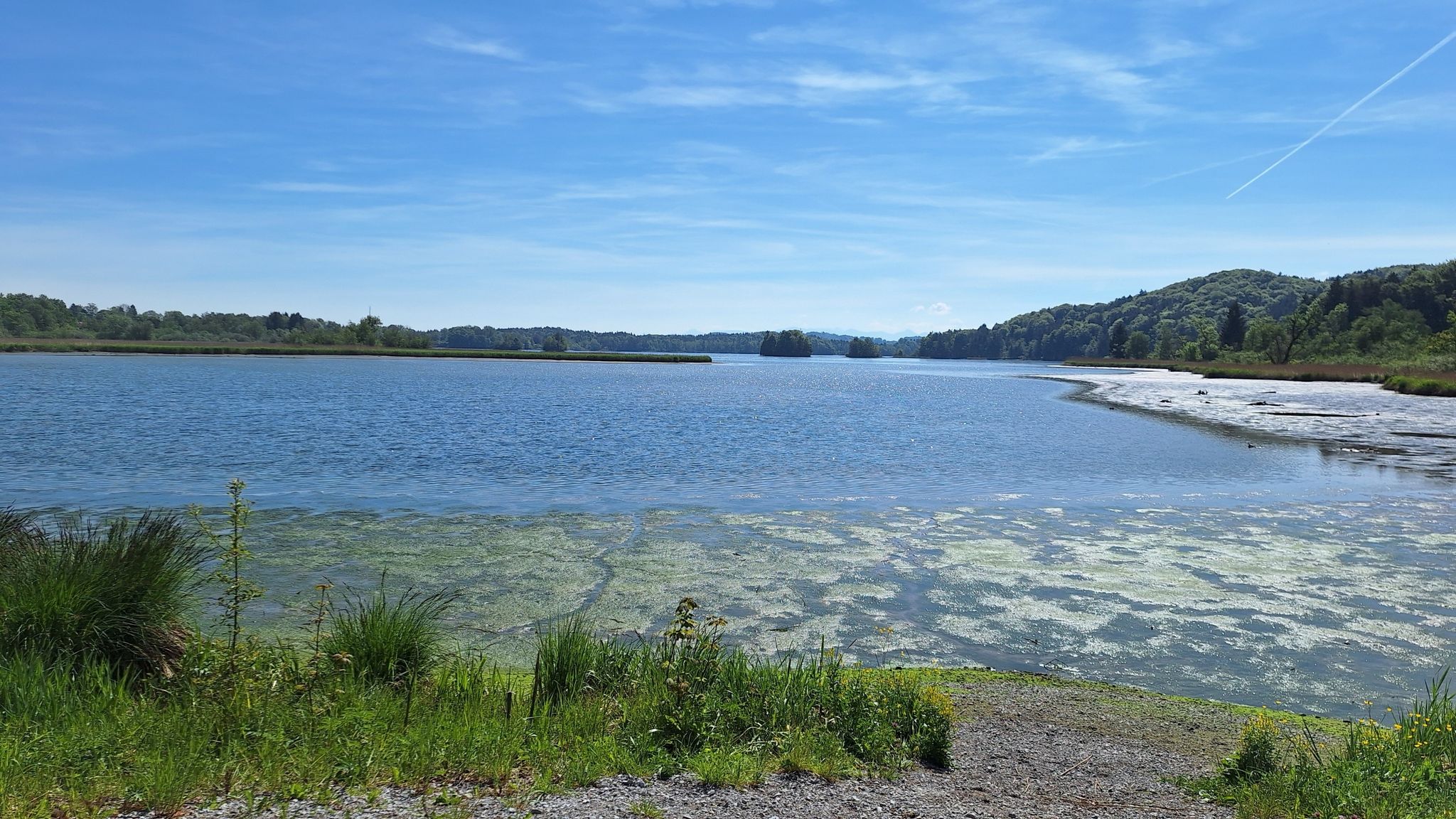 Am Seehamer-See