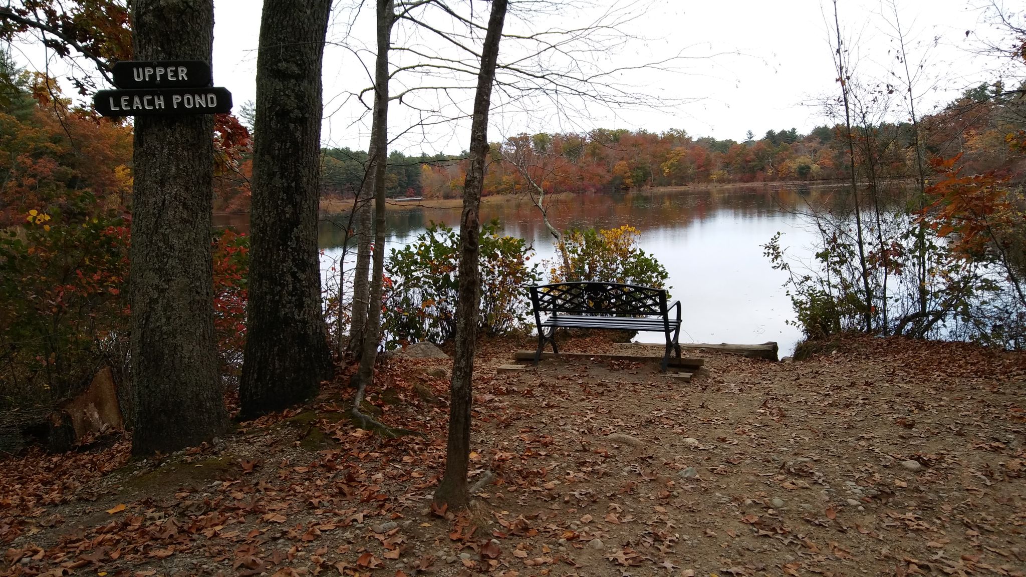 Empty bench overlooking a calm lake surrounded by autumn trees. - Borderland State Park – Beginner Loop