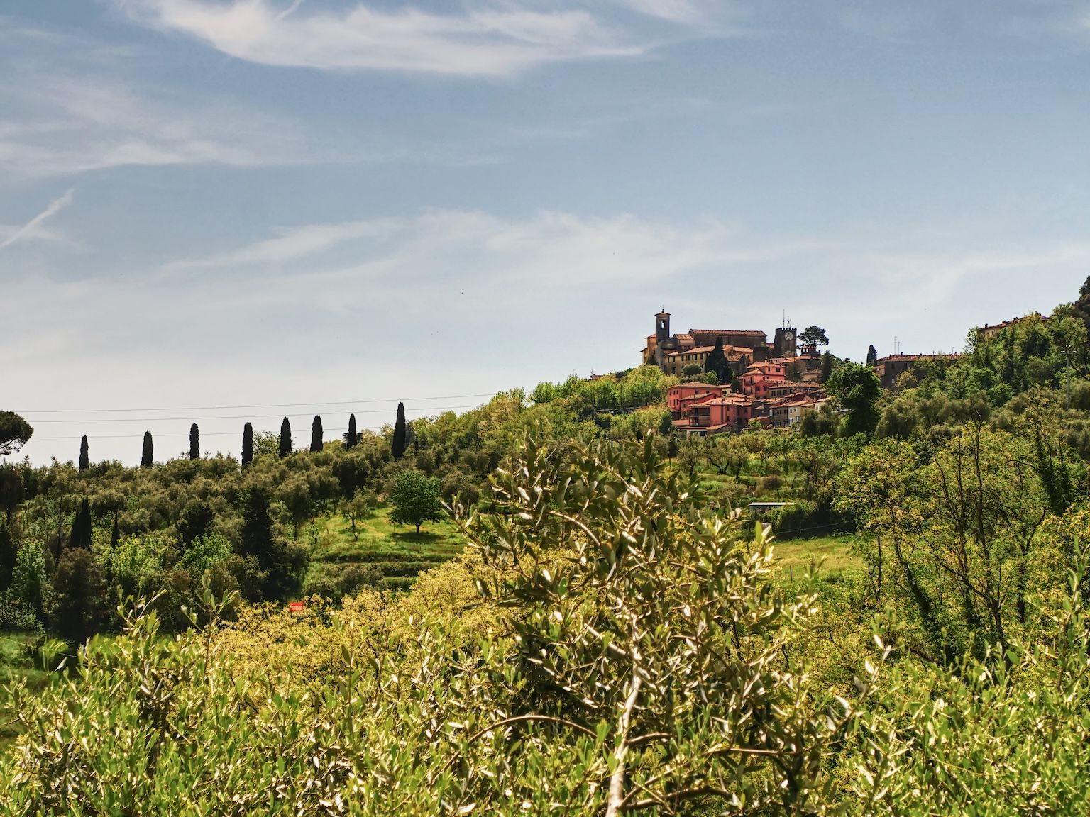 Blick nach Montecatini Alto