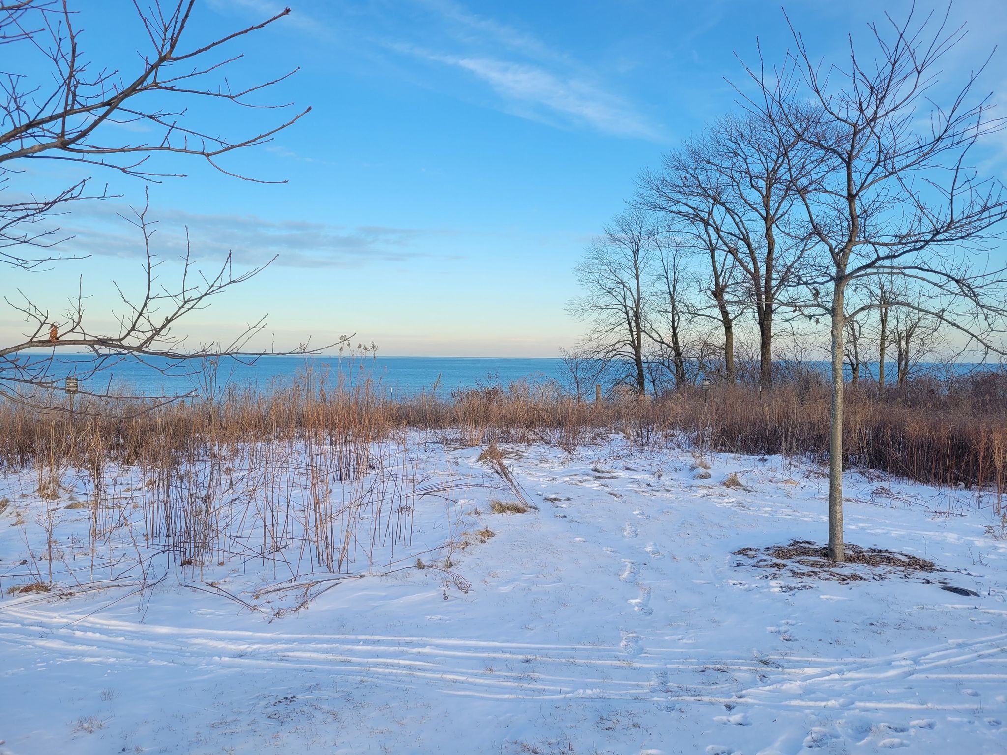 Snowy landscape with bare trees, ski tracks, and a bright blue sky over water. - Fort Sheridan Birding Trail Loop