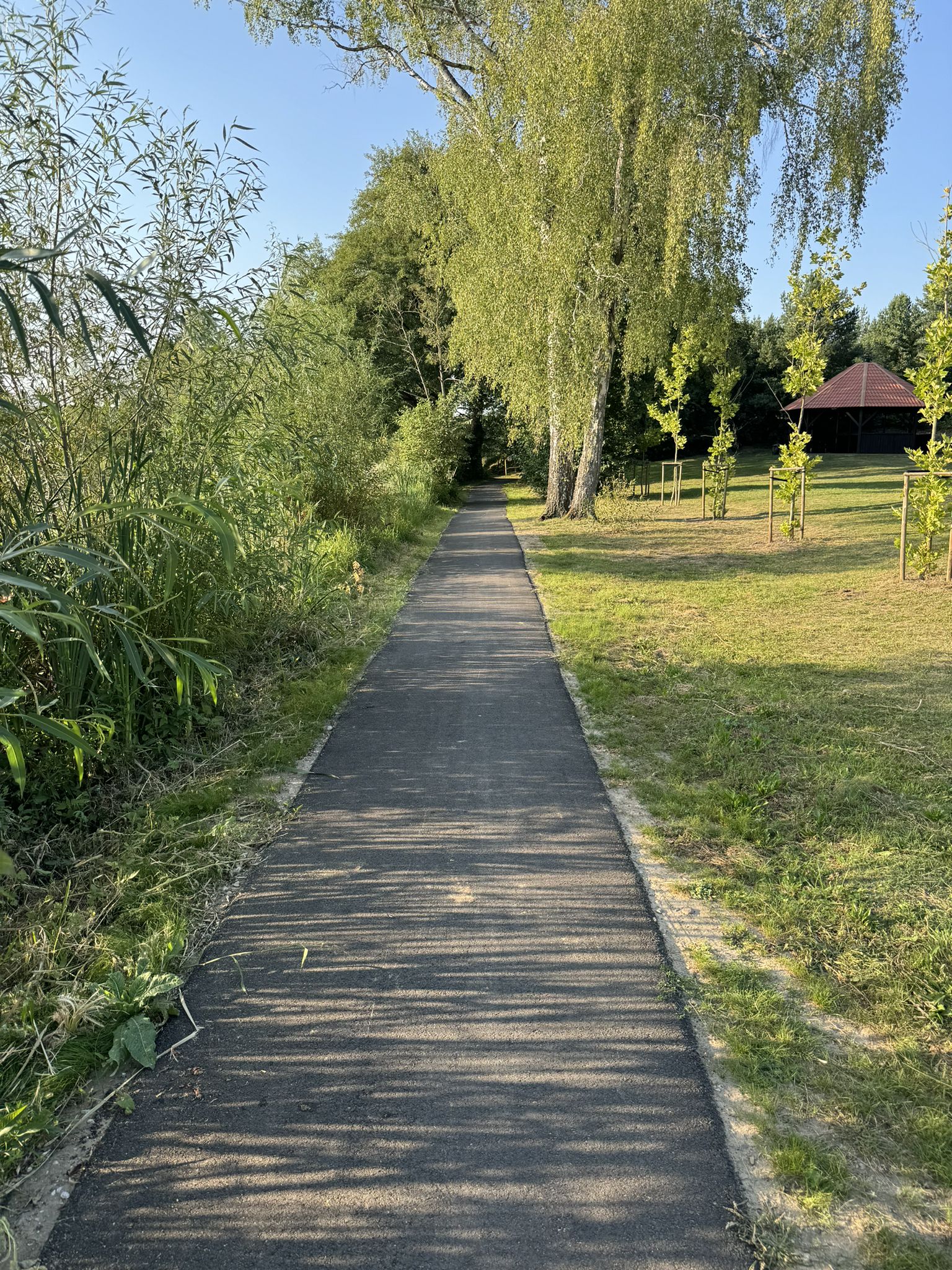 taka przyjemna ścieżka pieszo-rowerowa dookoła jeziora Bąk w Okonku