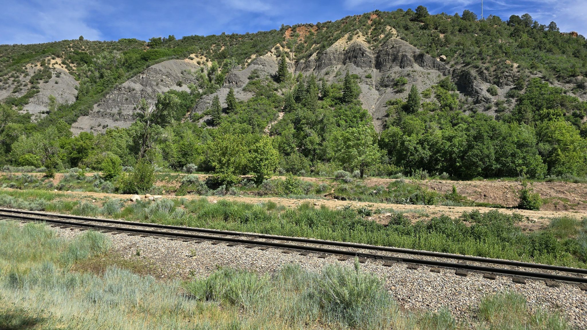 Railroad tracks run alongside a grassy area with a rocky, forested hillside. - Memorial Park – Animas River Bridge loop from Trimble