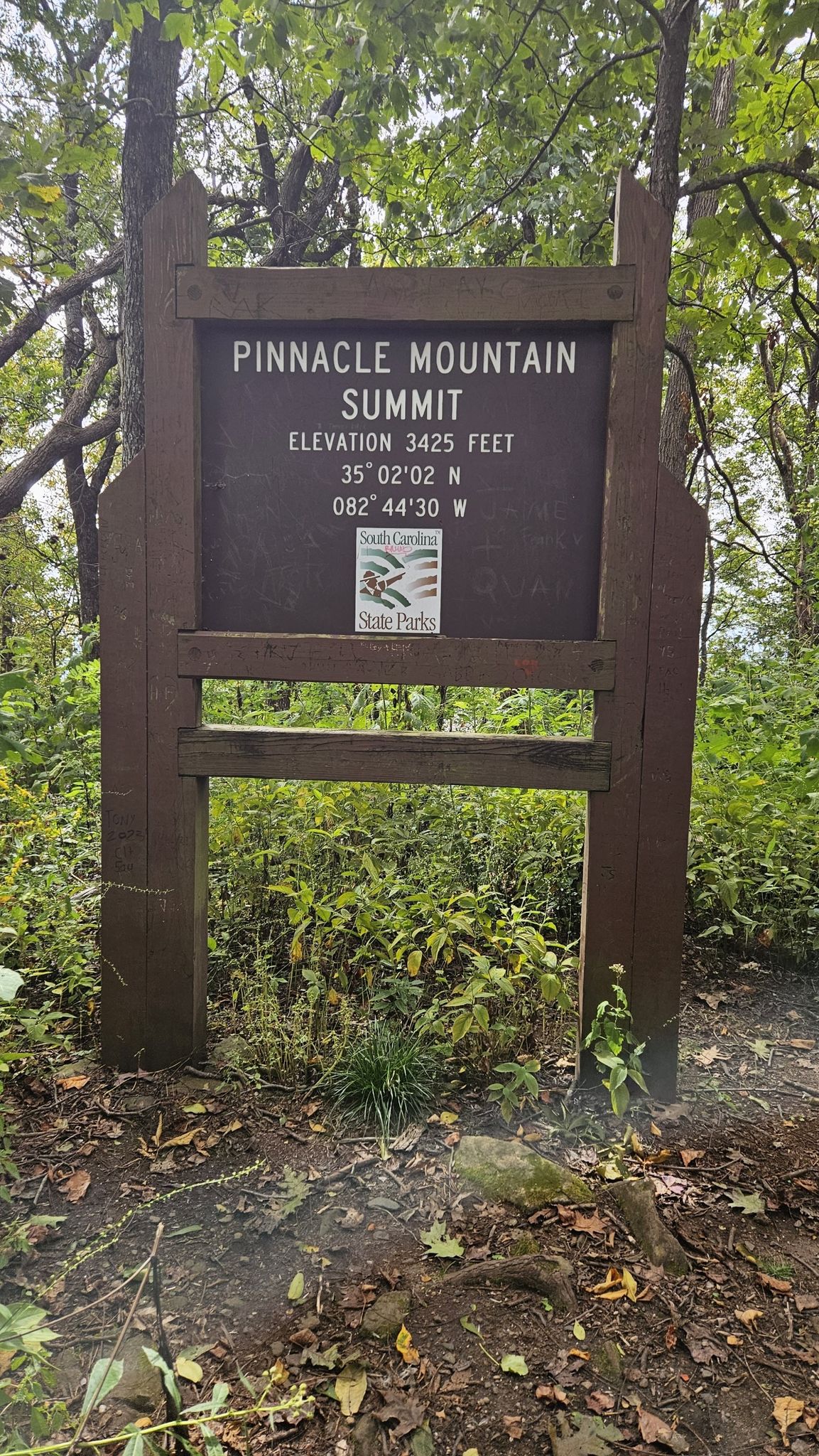 Wooden summit sign surrounded by lush green forest under diffused light. - Foothills Trail: Sassafras Mountain to Pinnacle Mountain