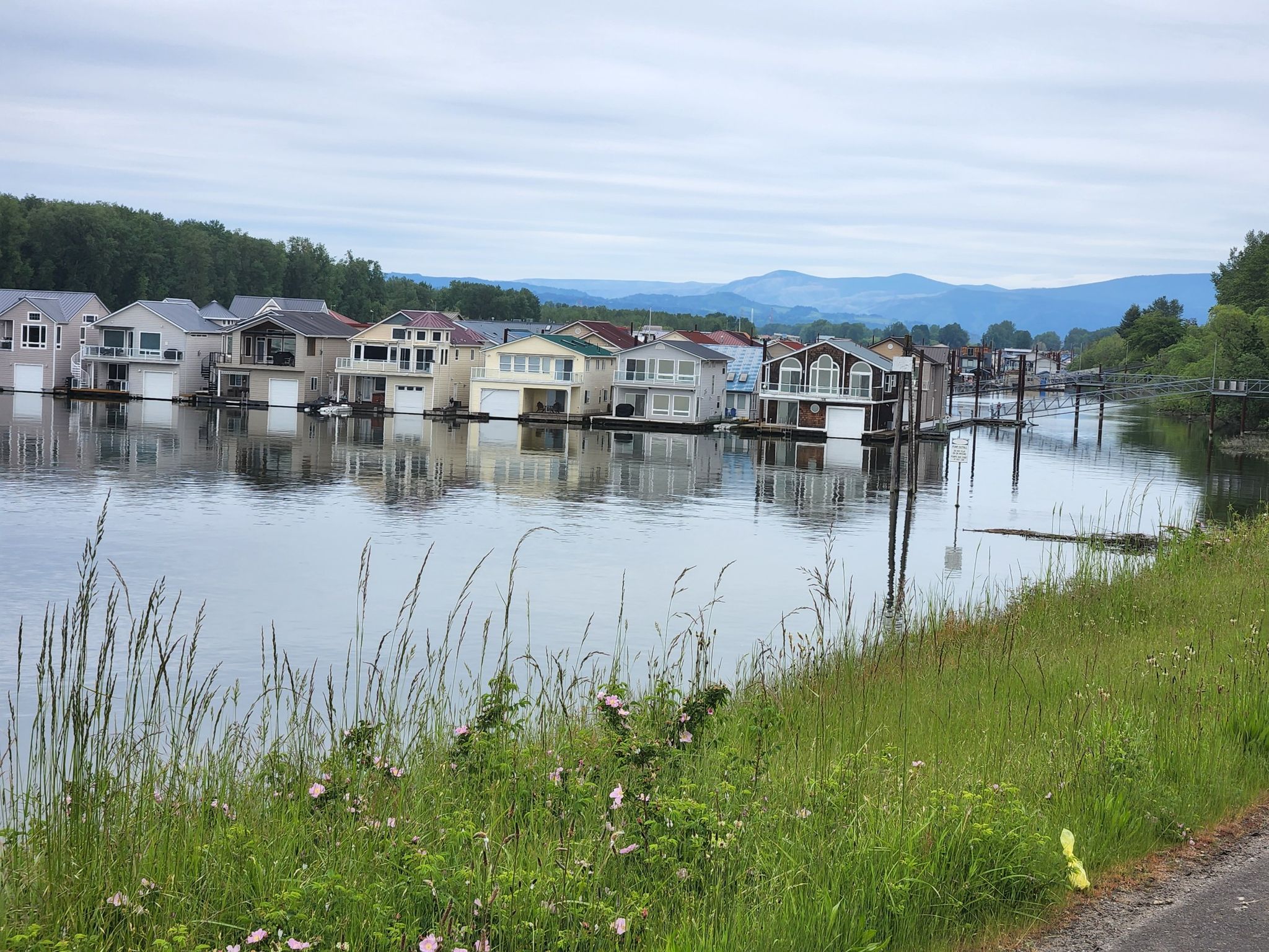 Houseboats line a calm river under an overcast sky, with grassy banks. - Historic Columbia River Highway and Marine Drive Loop