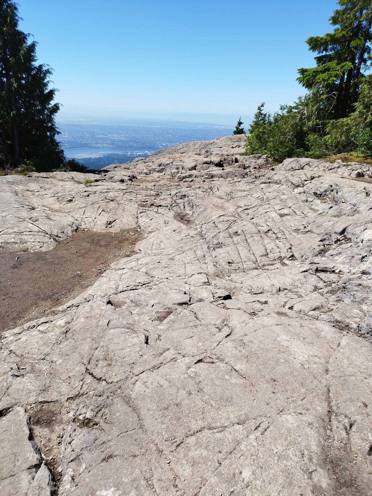 Dog mountain
