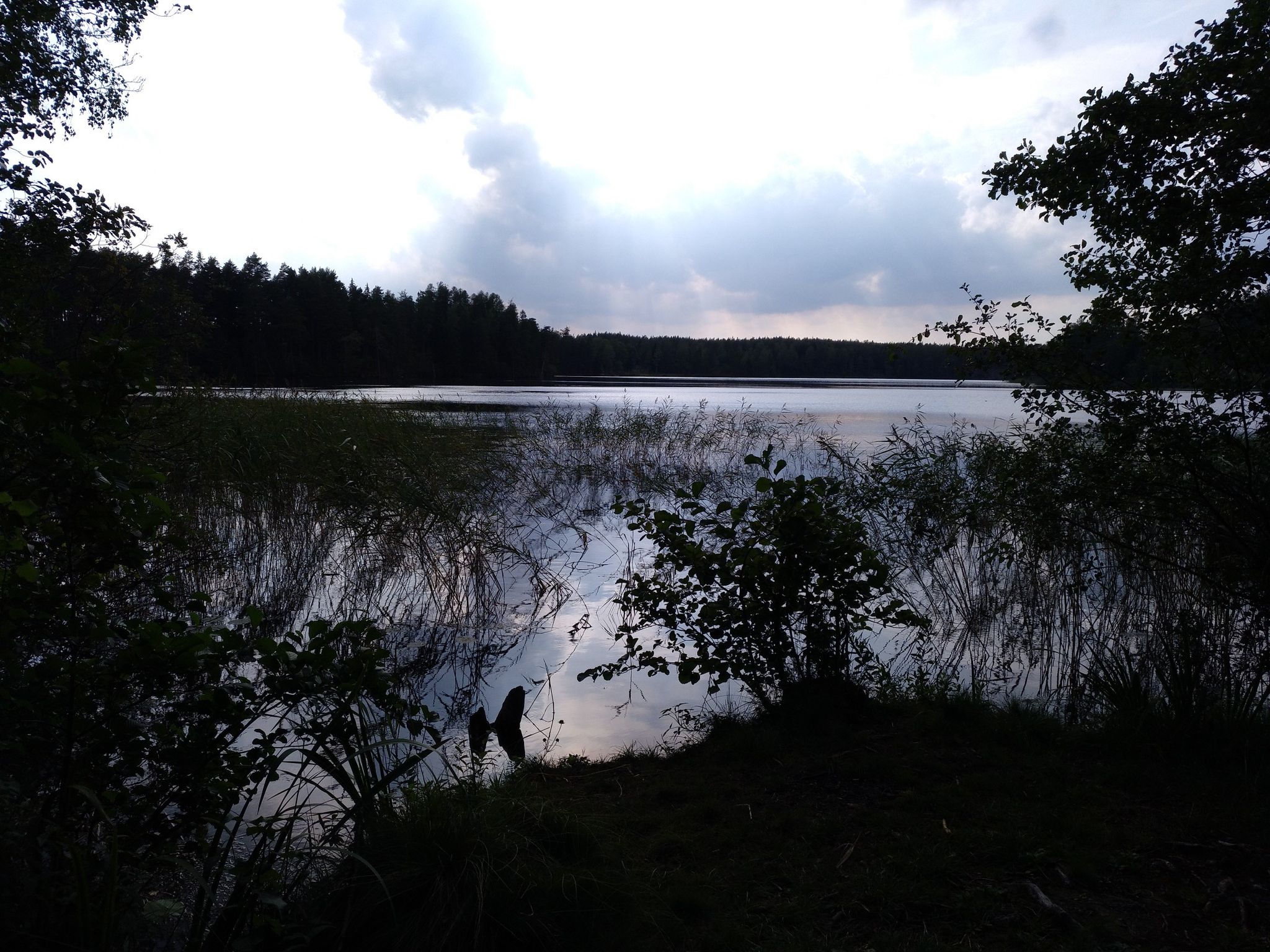 ende