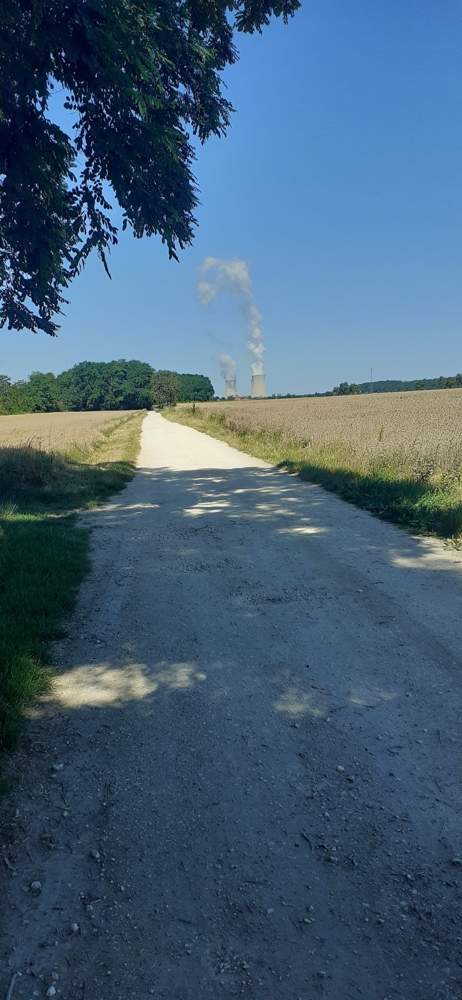 de kerncentrale en het korenveld