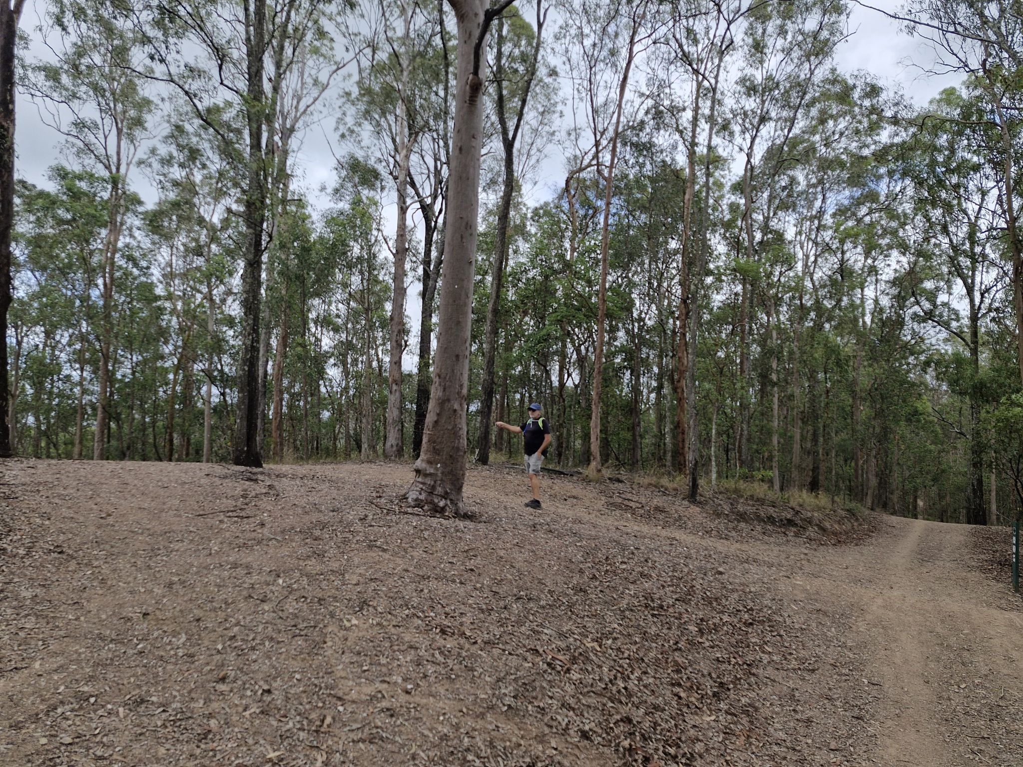 turn to the left onto Goanna trail