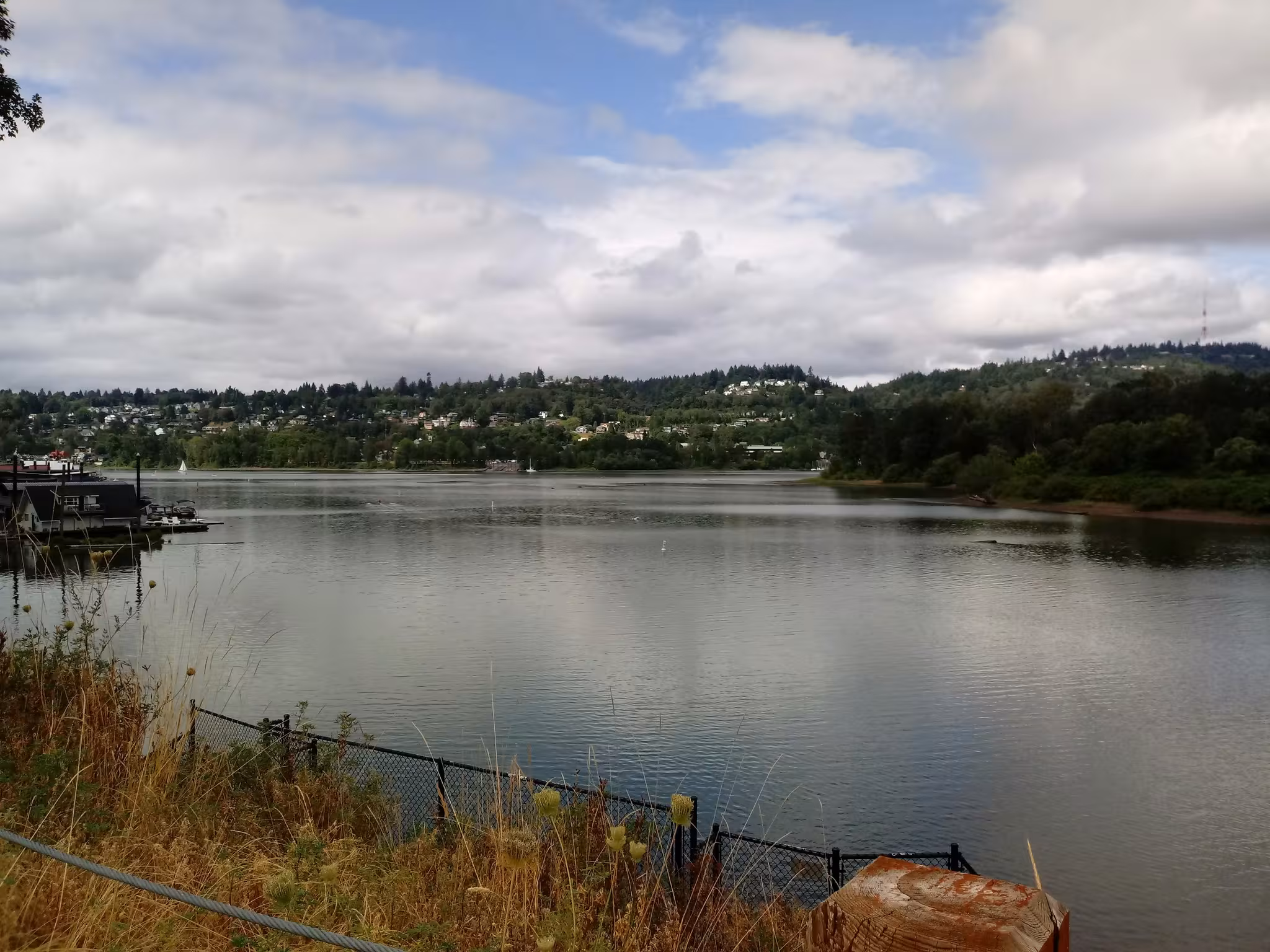 Wide river with distant forested hills under a cloudy sky. - Tilikum Crossing – Springwater Corridor loop from Southeast Bybee Boulevard