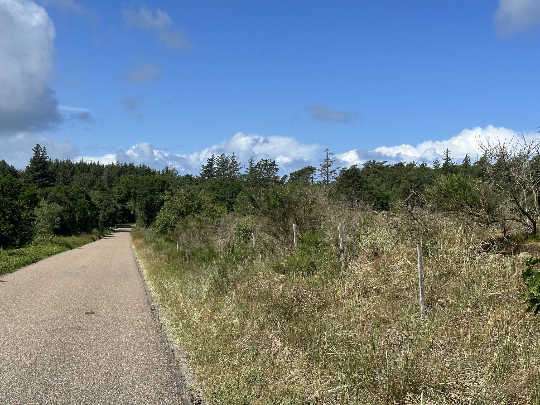 So sehen Radwege bei Hirtshals aus…
