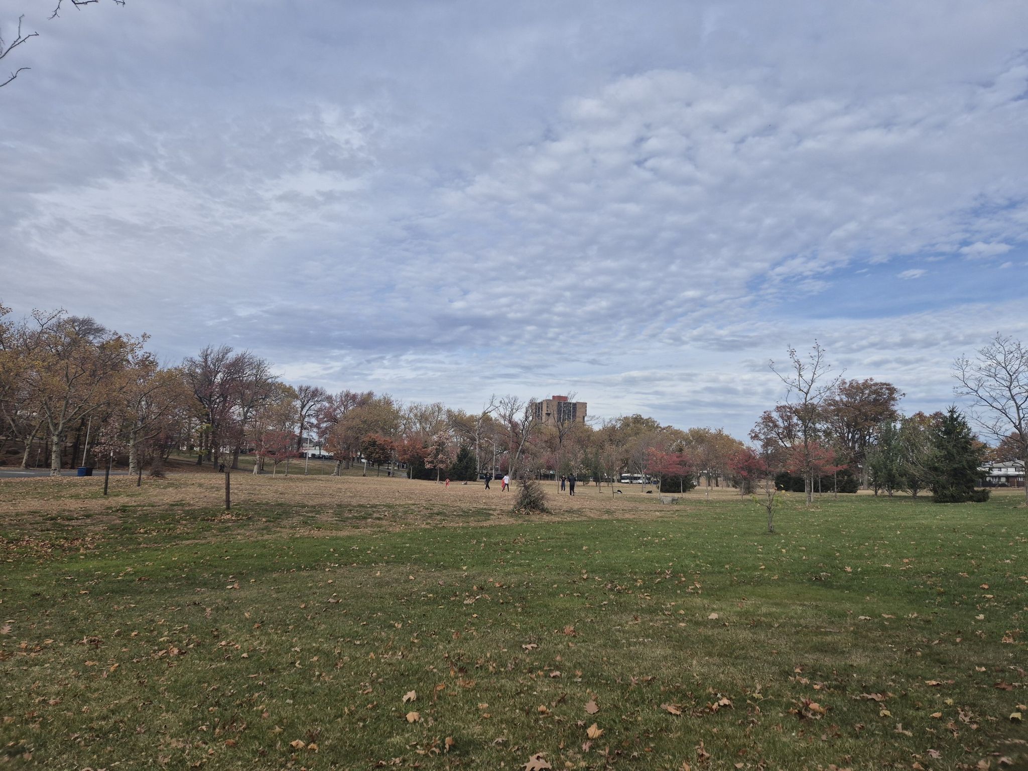 Wide grassy field with scattered autumn trees and distant buildings under clouds. - Port Imperial Waterfront – North Hudson County Park loop from 9th Street–Congress Street