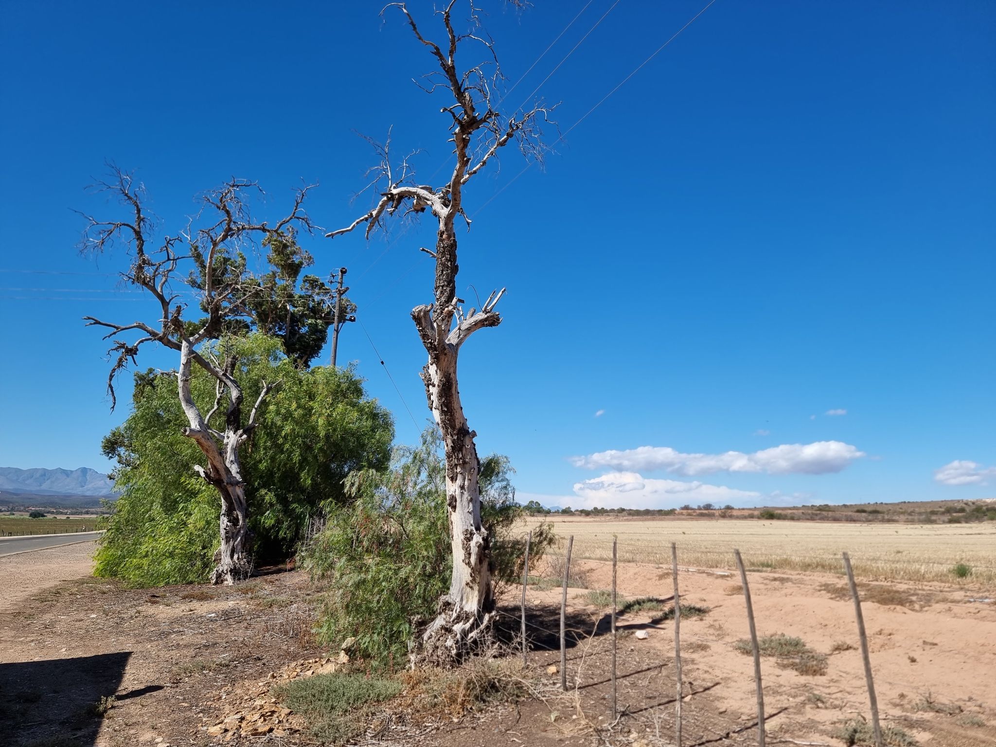Little Karoo