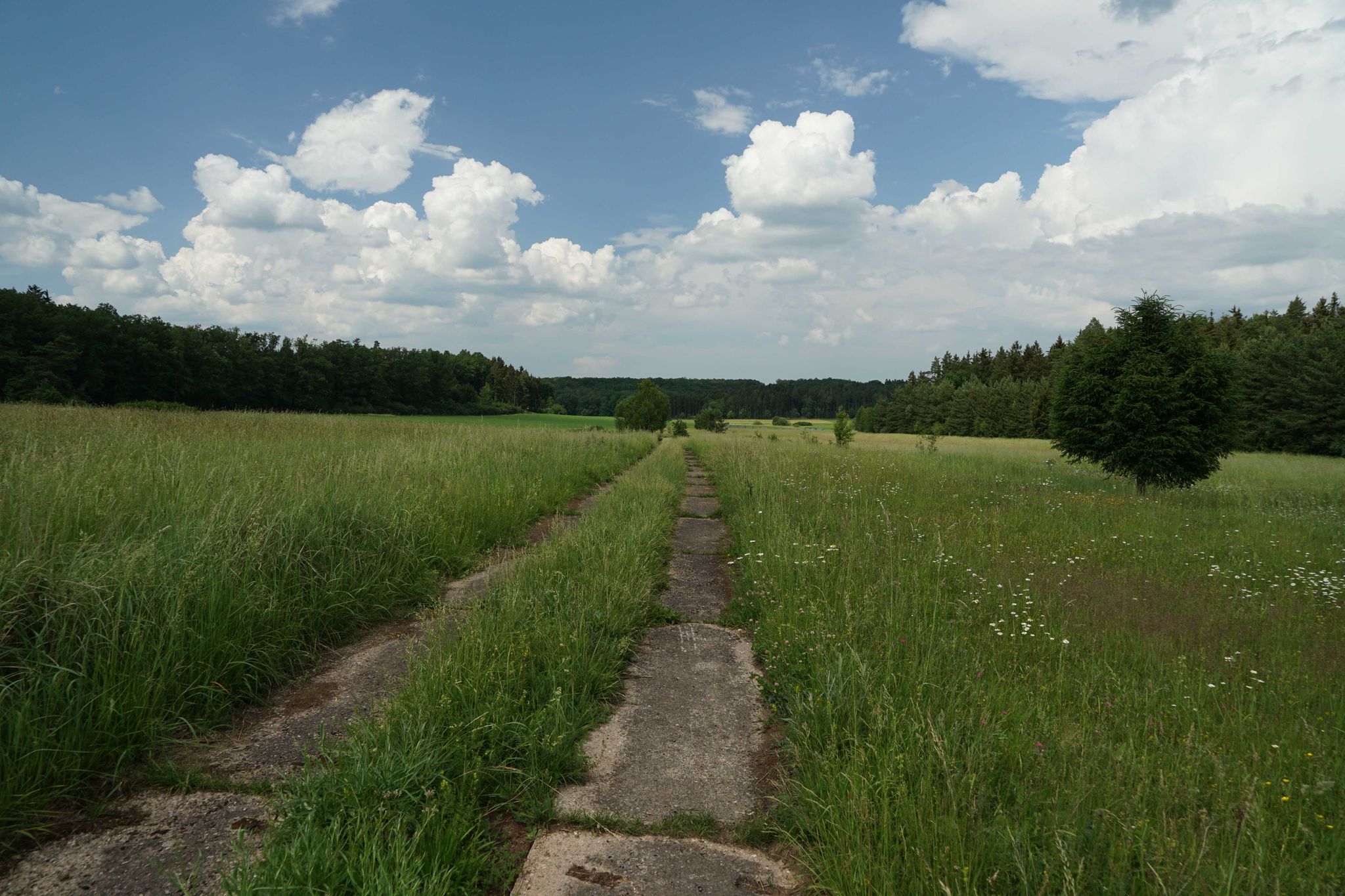 Kolonnenweg