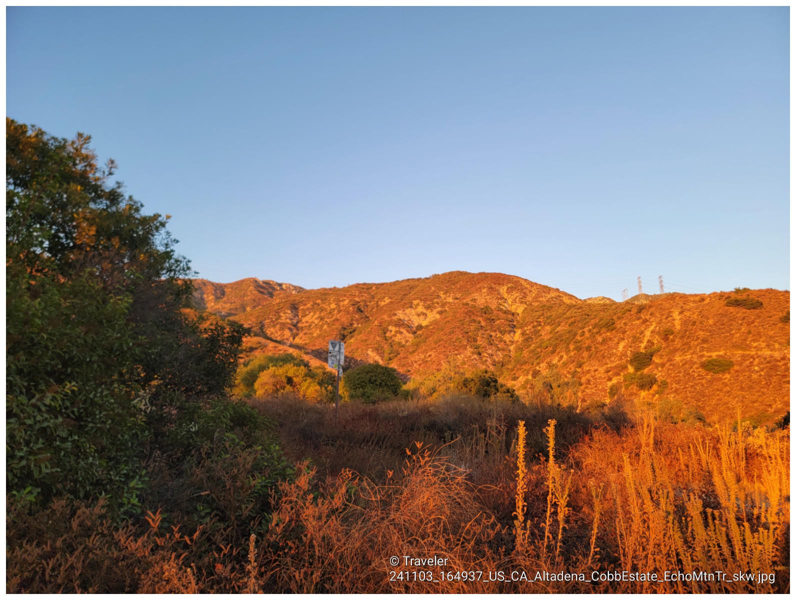 Golden, brush-covered mountains under a clear blue sky at sunset. - Altadena Crest Trail