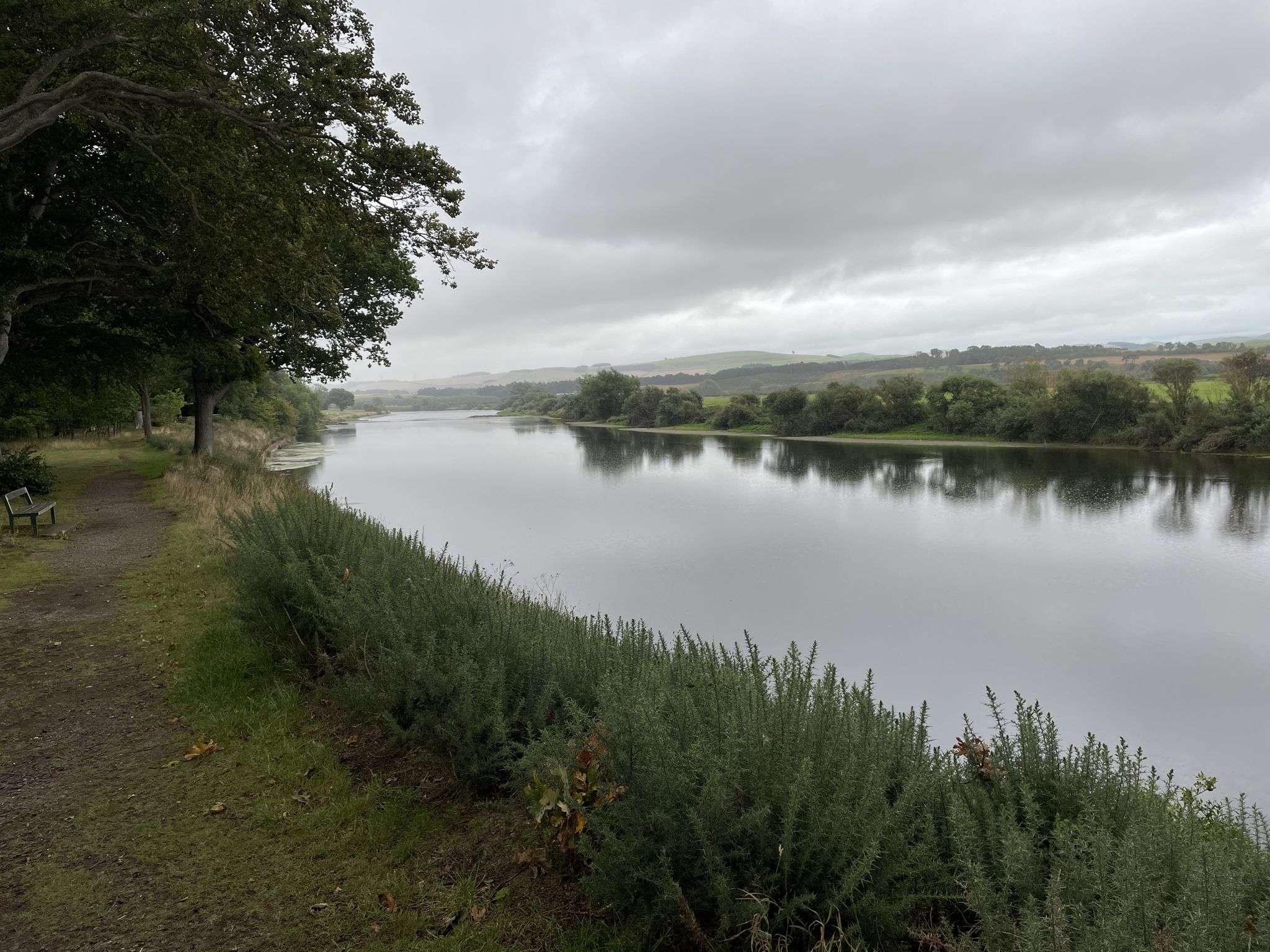 The Tweed
