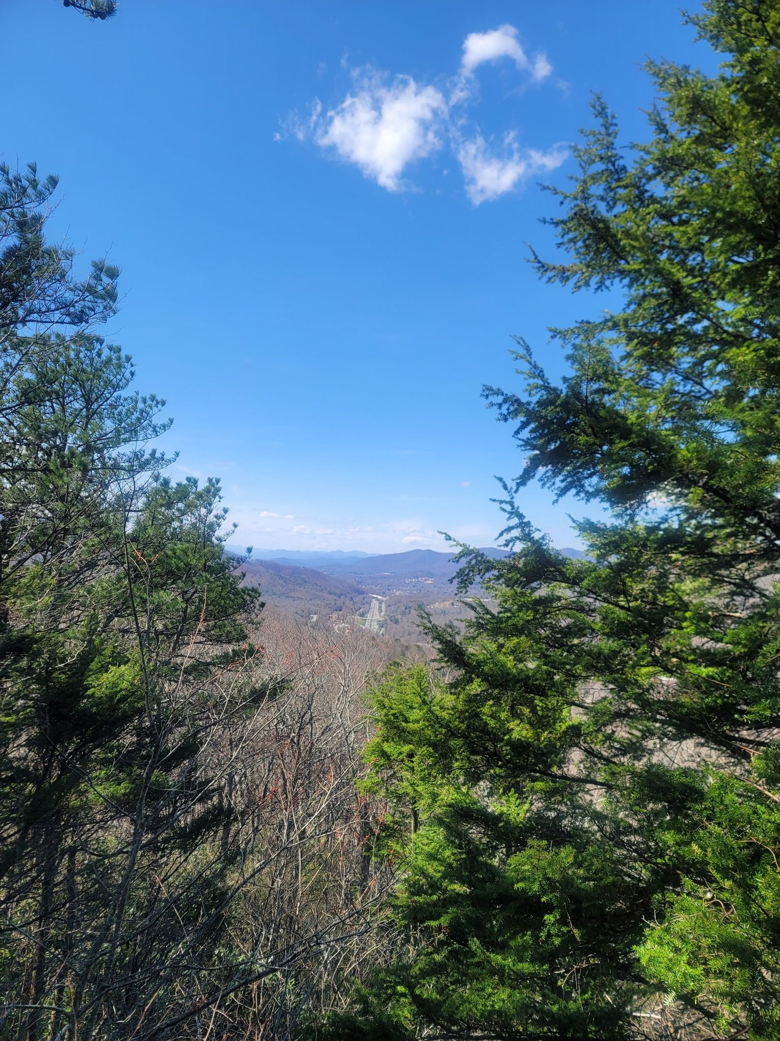 Distant mountain view framed by pine trees under a clear blue sky. - Kitsuma and Point Lookout Loop