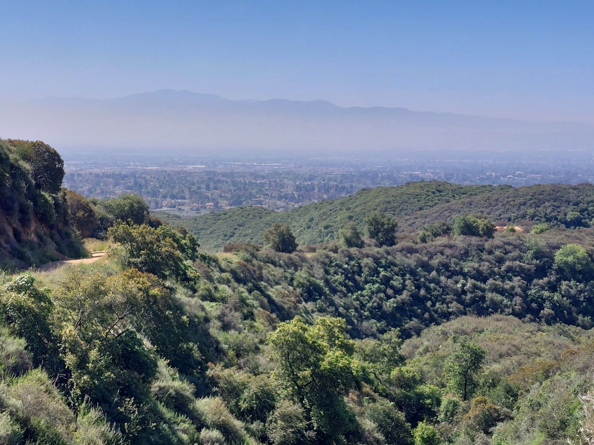 Hazy distant city view over green, forested hills on a clear day. - Claremont Hills Wilderness Park loop