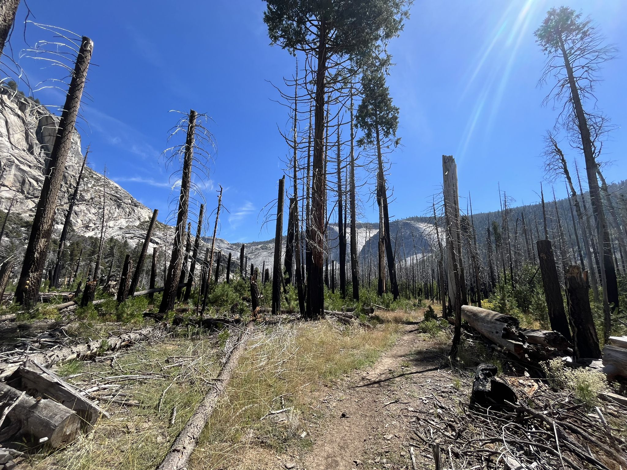 A sunny, clear day in a burnt forest with a path and distant mountains. - Lake Merced via Little Yosemite Valley