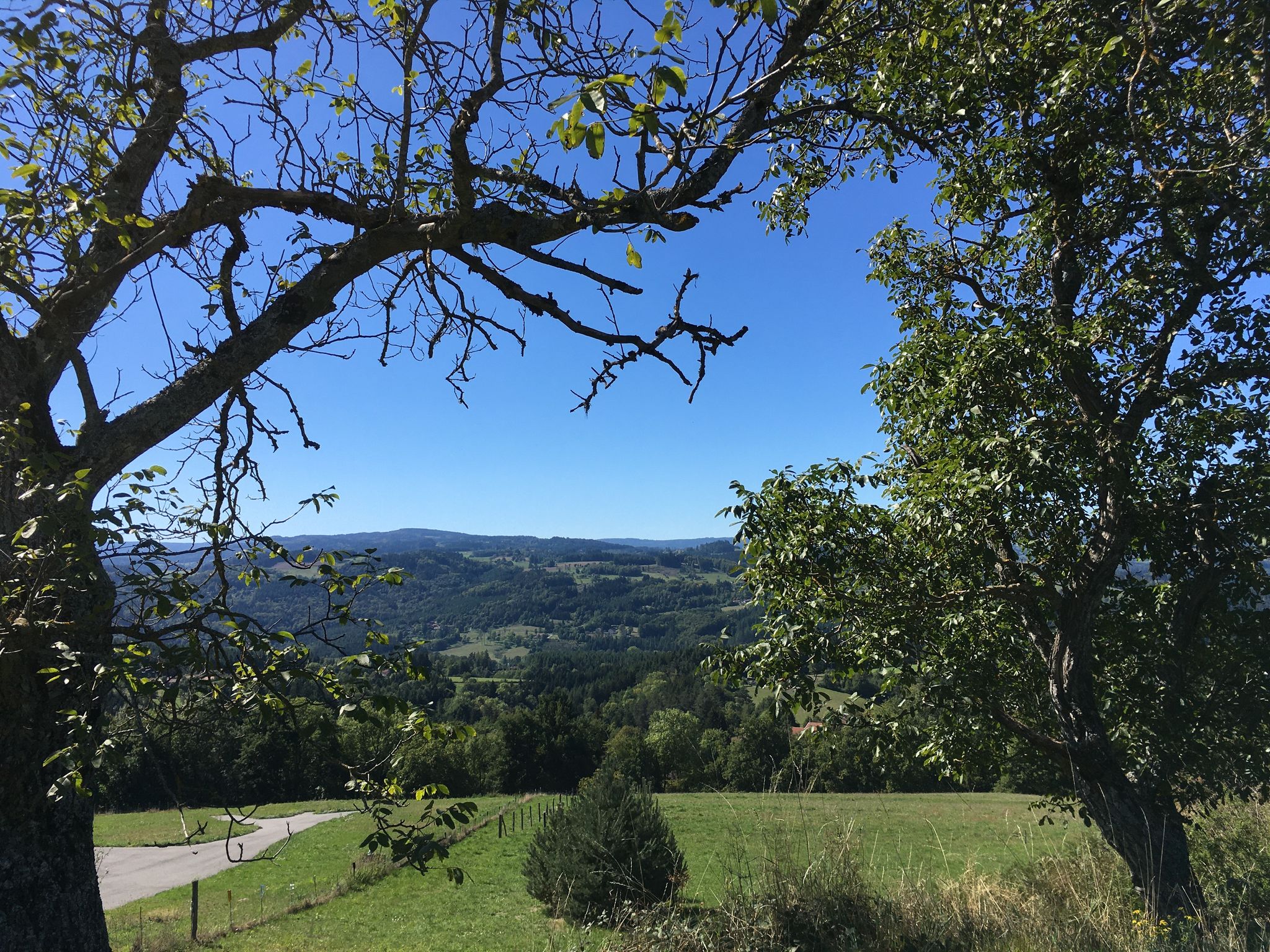 View of Livradois (other side of the valley).