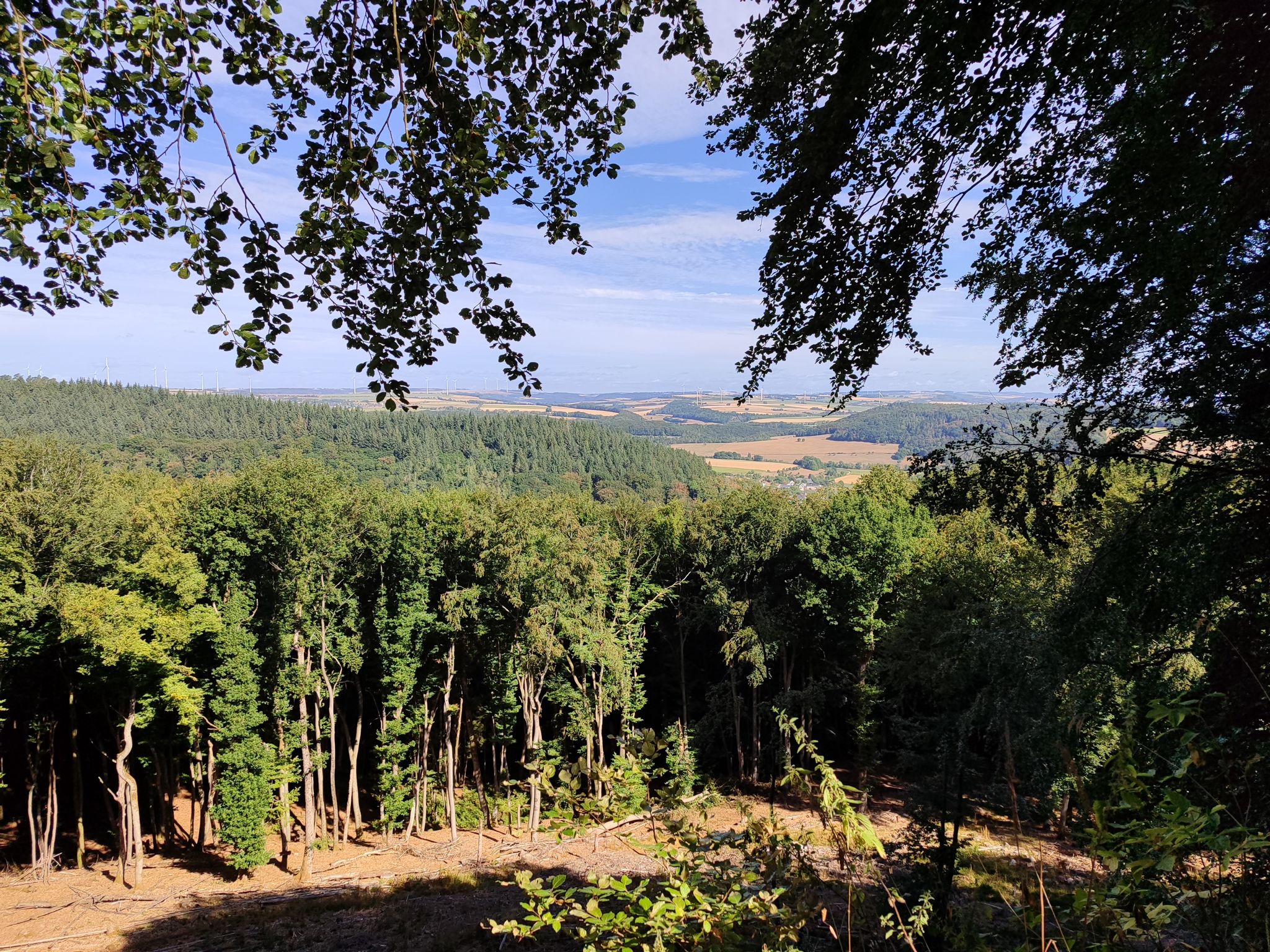 schöne Aussicht 