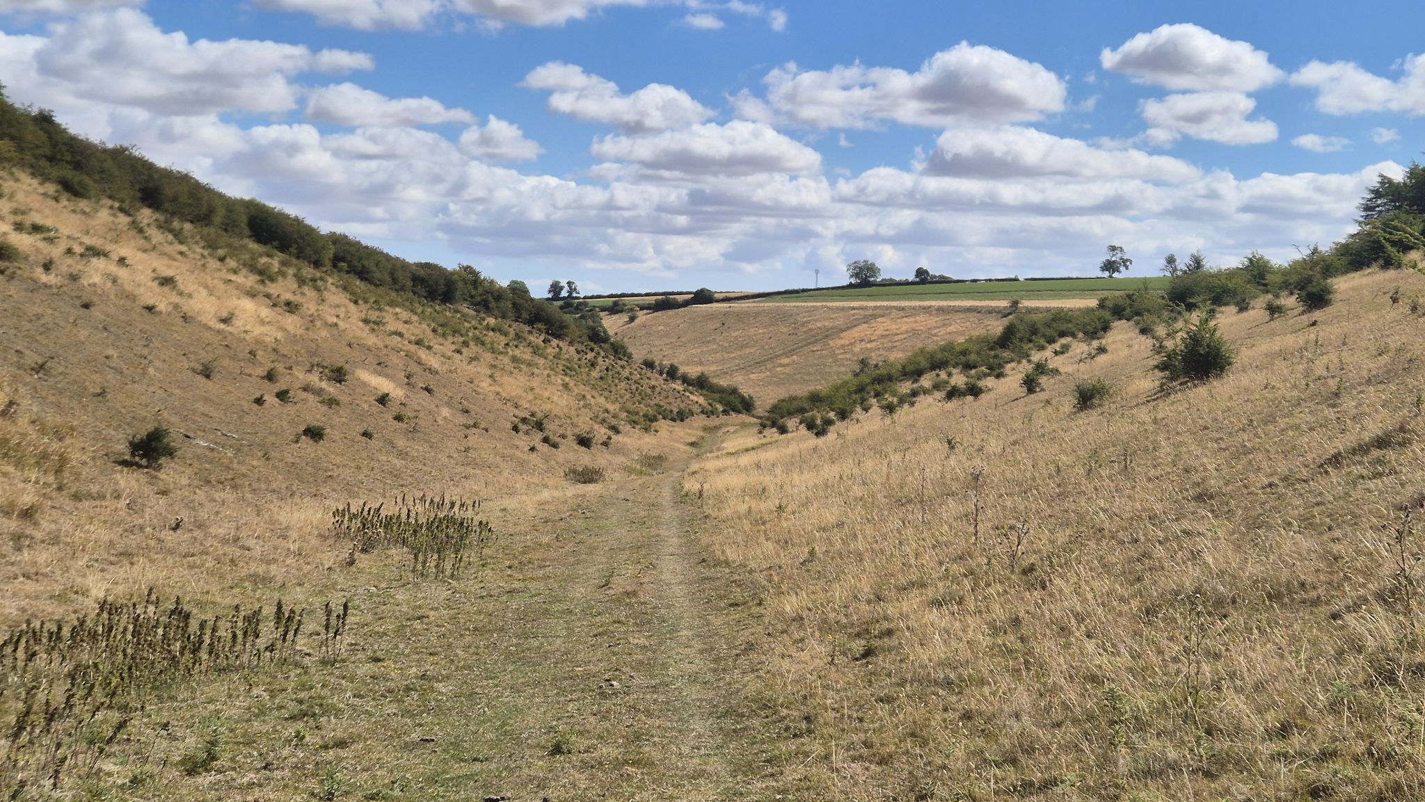 Milham Dale upper section (Chalkland Way)