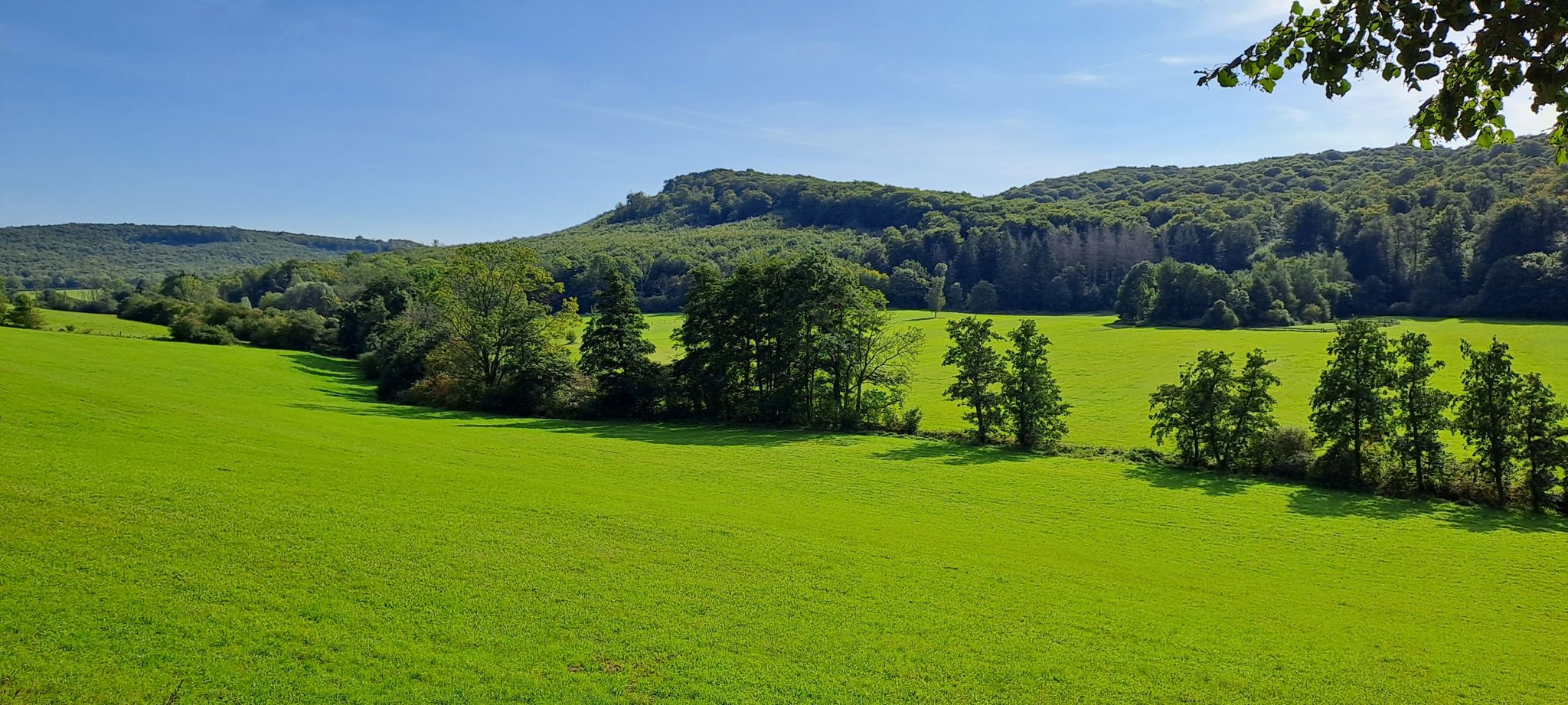 Das kleine Allgäu 💚