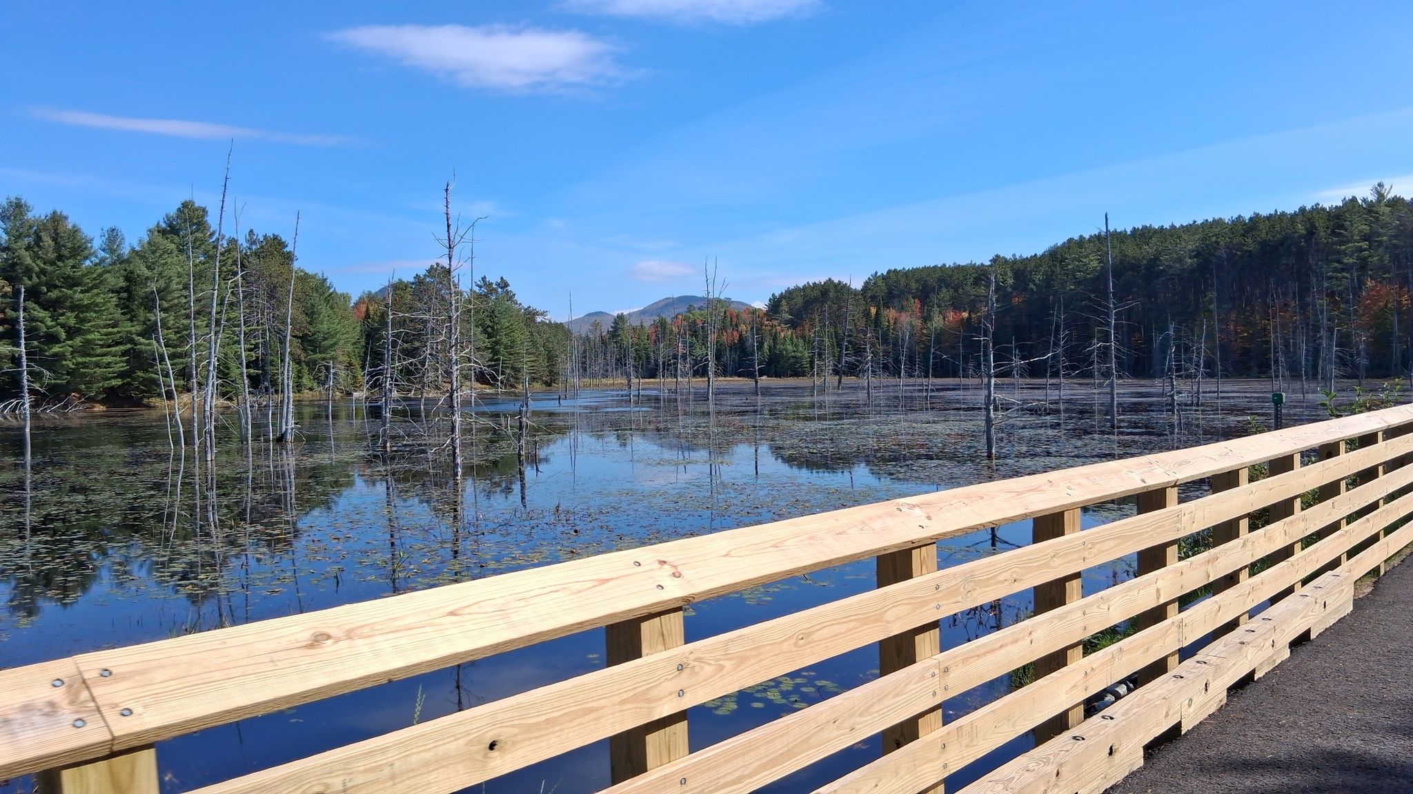 Wooden boardwalk over a marshy lake with dead trees and autumn forest. - Adirondack Rail Trail