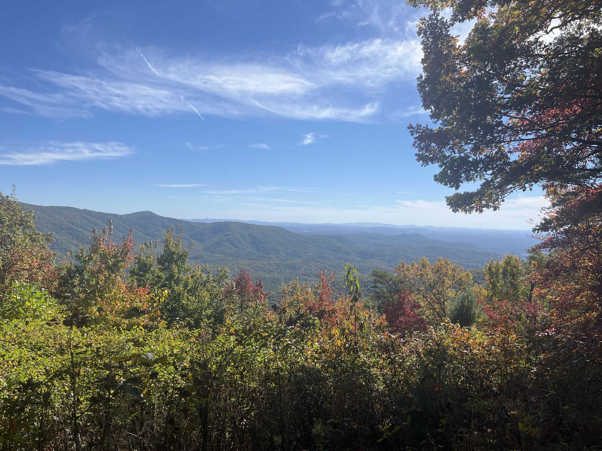Panoramic view of rolling mountains and autumn trees under a bright blue sky. - Gahuti Trail