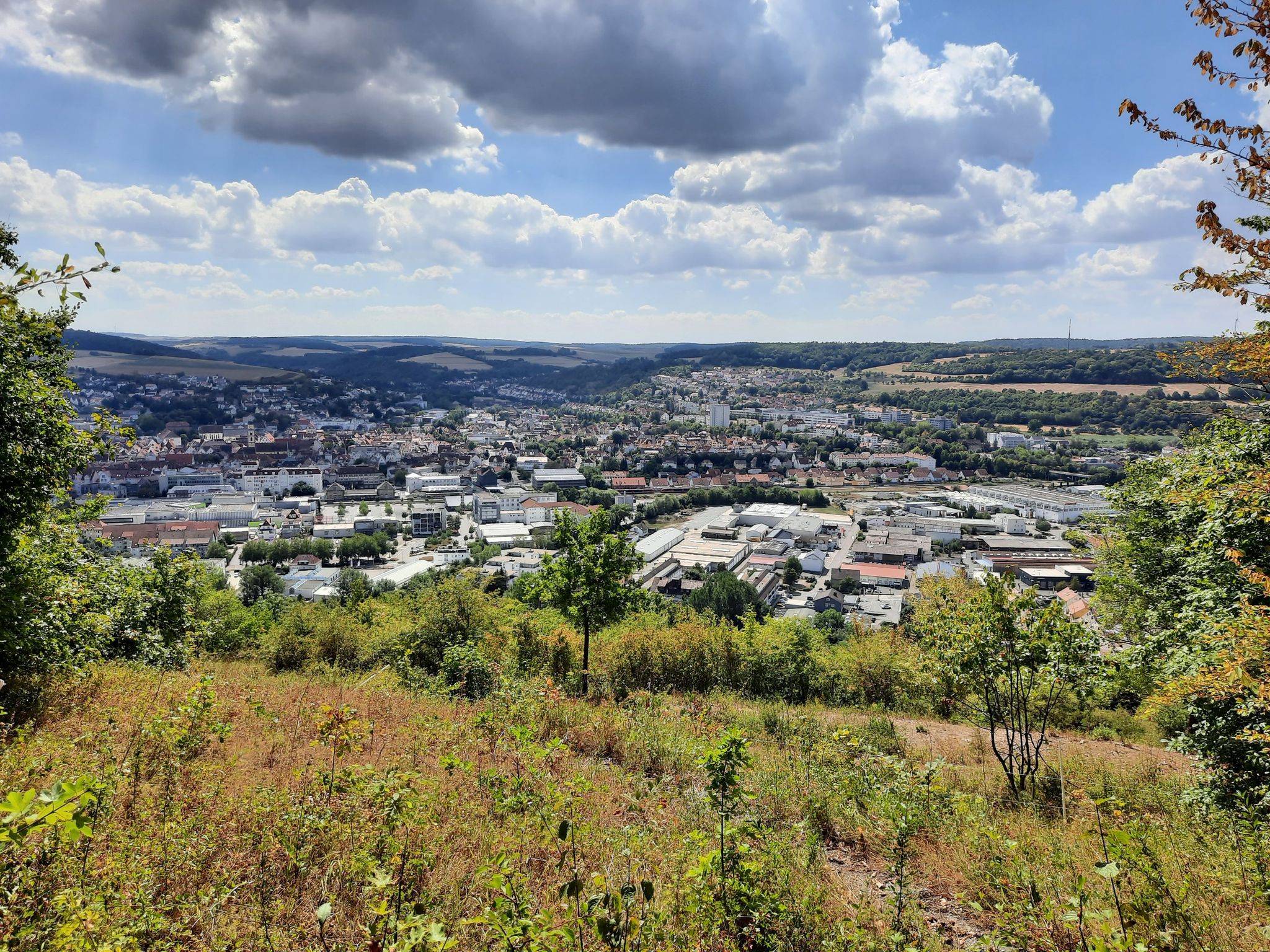 Blick über Bad Mergentheim