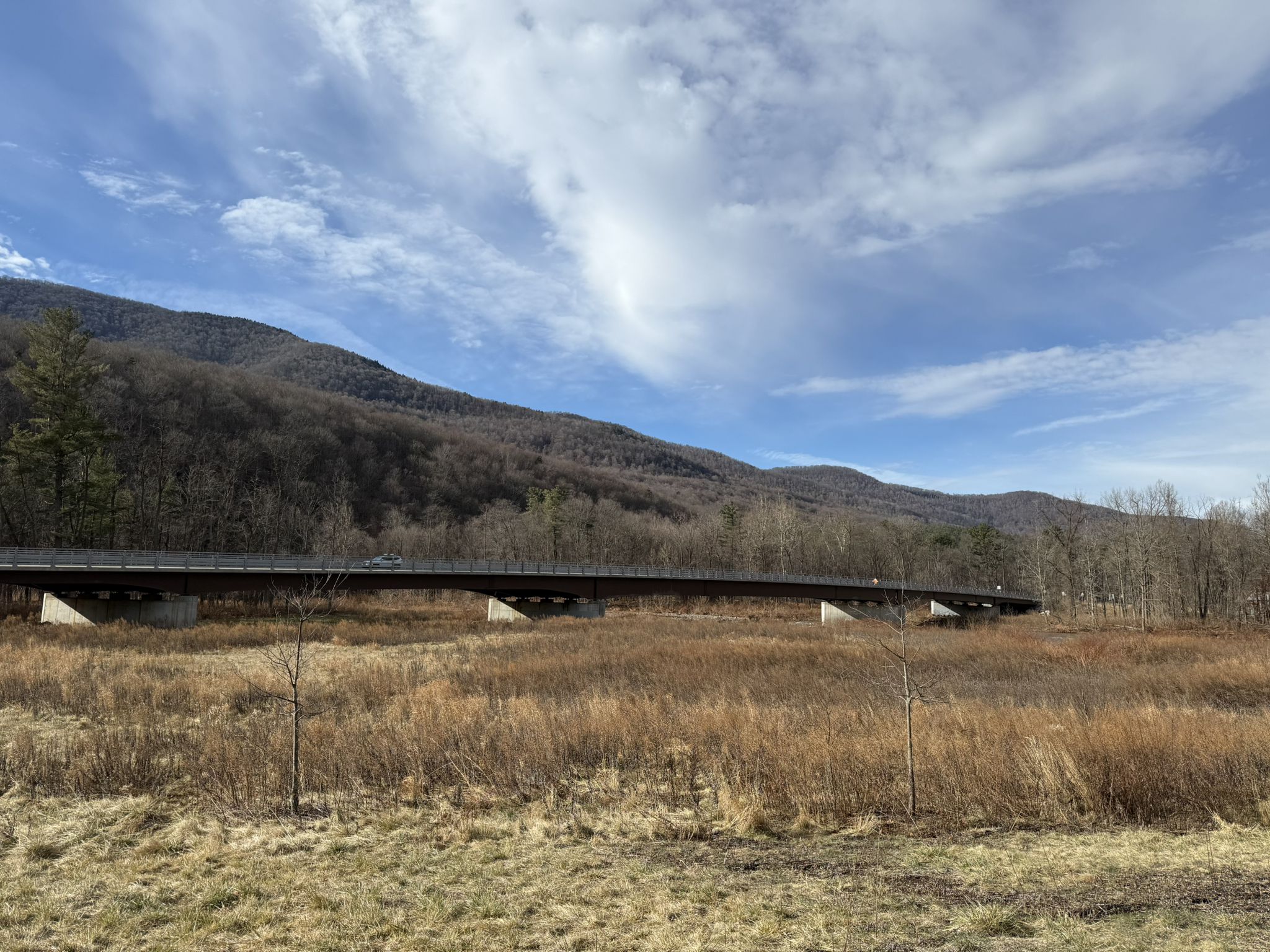 A long bridge spans a dry field with bare trees and mountains under a cloudy sky. - Steel bridge – Boiceville Trailhead loop from Boiceville