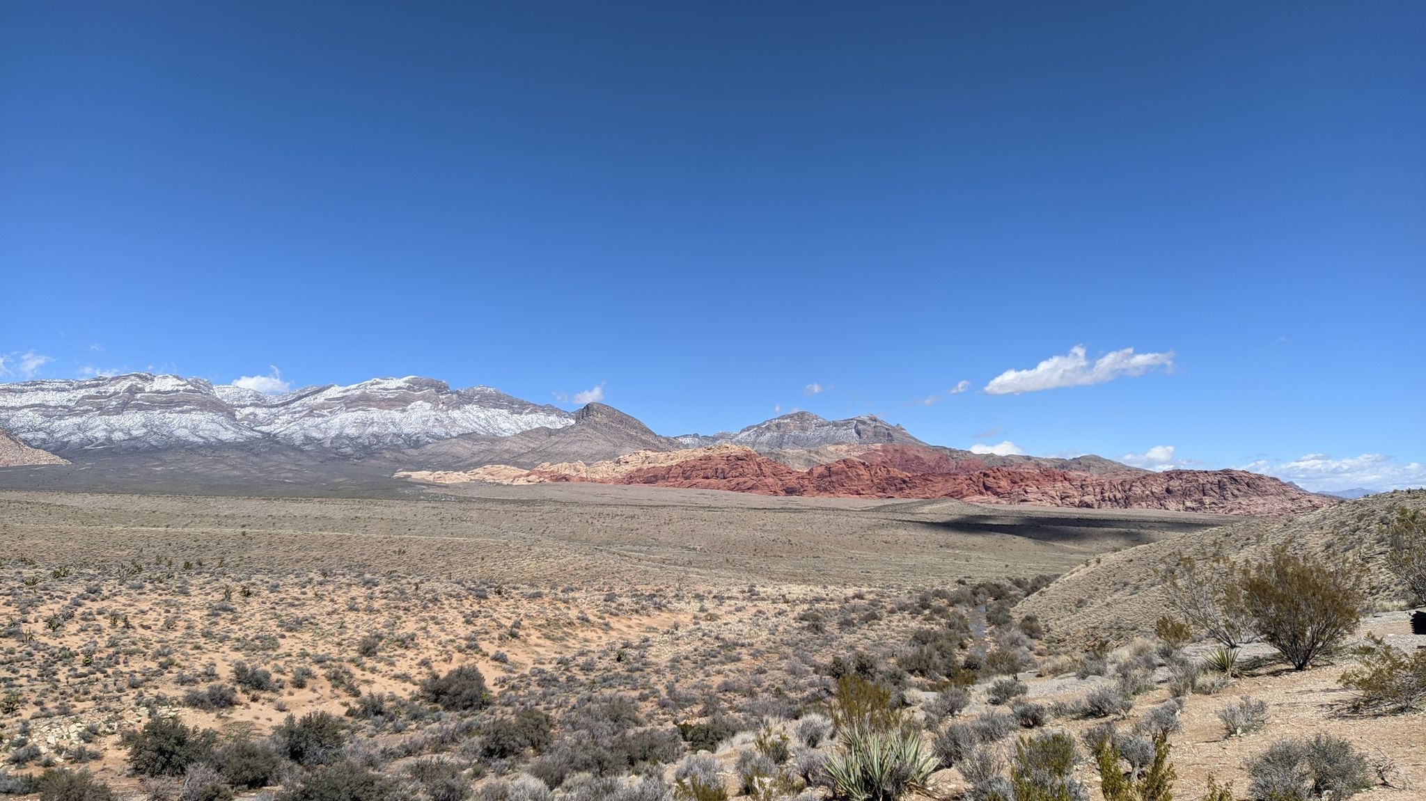 Wide desert vista with distant snow-capped mountains under blue sky. - Calico Basin from Blue Diamond — Red Rock Canyon National Conservation Area