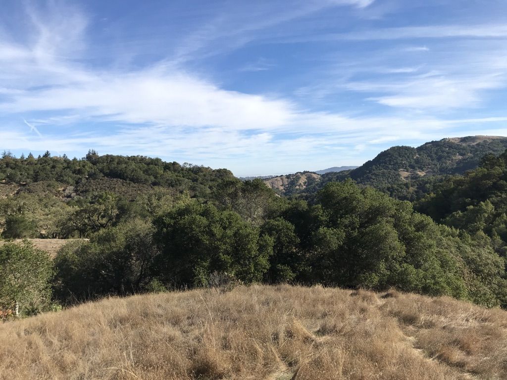 Sunny view of rolling hills covered in trees and dry grass. - Bon Tempe Lake via San Anselmo-Fairfax Bikeway