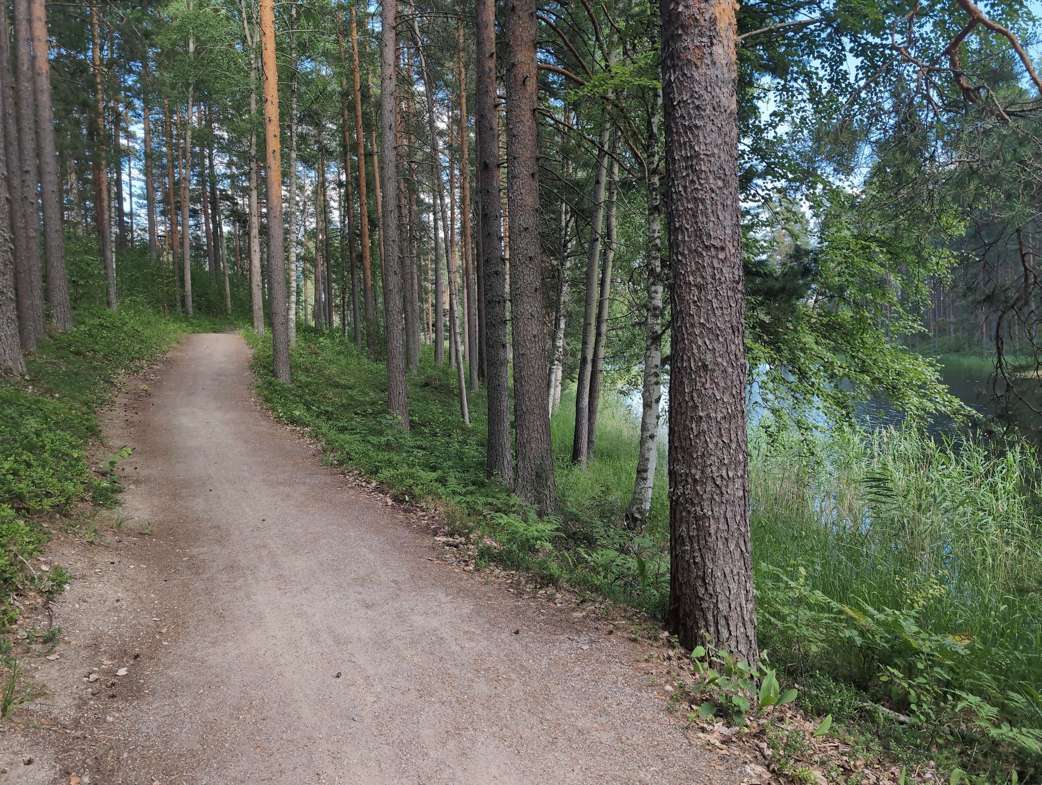 Weg am See