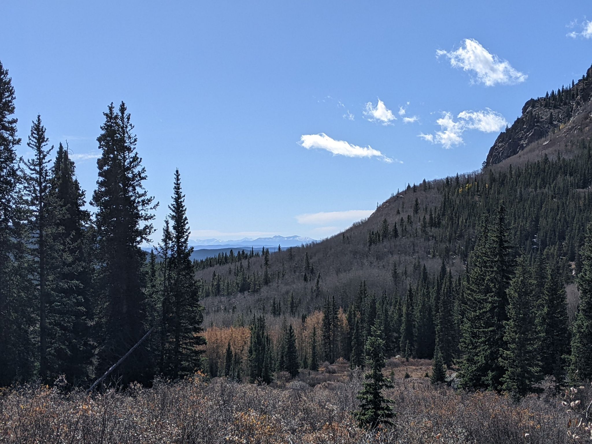 A vast mountain landscape with pine forests under a bright blue sky. - Abyss Trail to Helms Lake