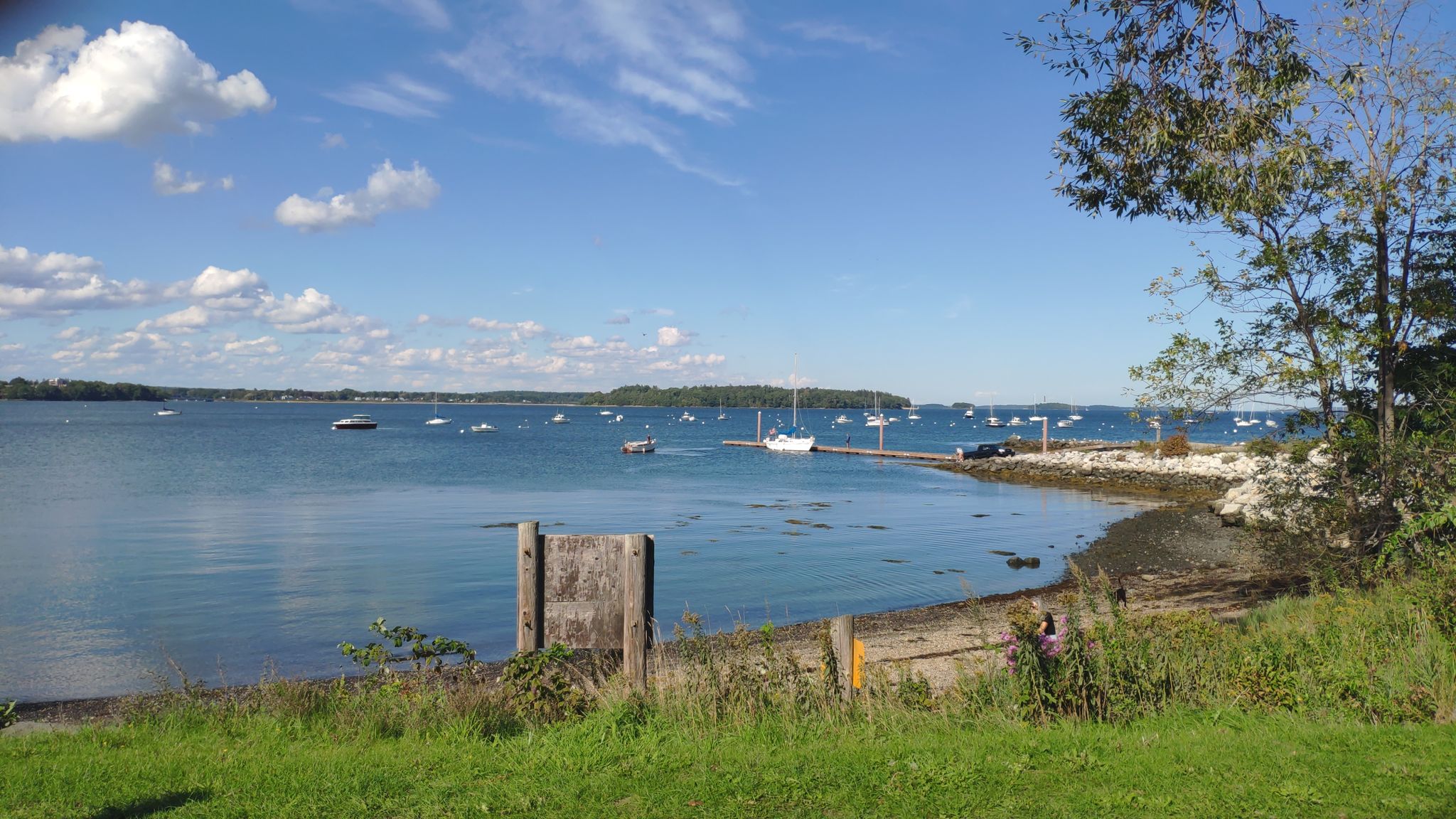 Sunny bay with many boats, green grass, and distant land. - Eastern Promenade Trail – East End Beach loop from Portland