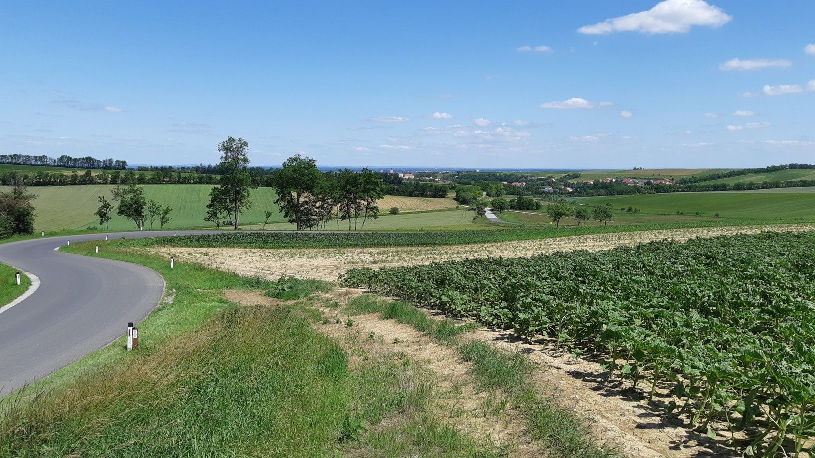 Gnadendorf