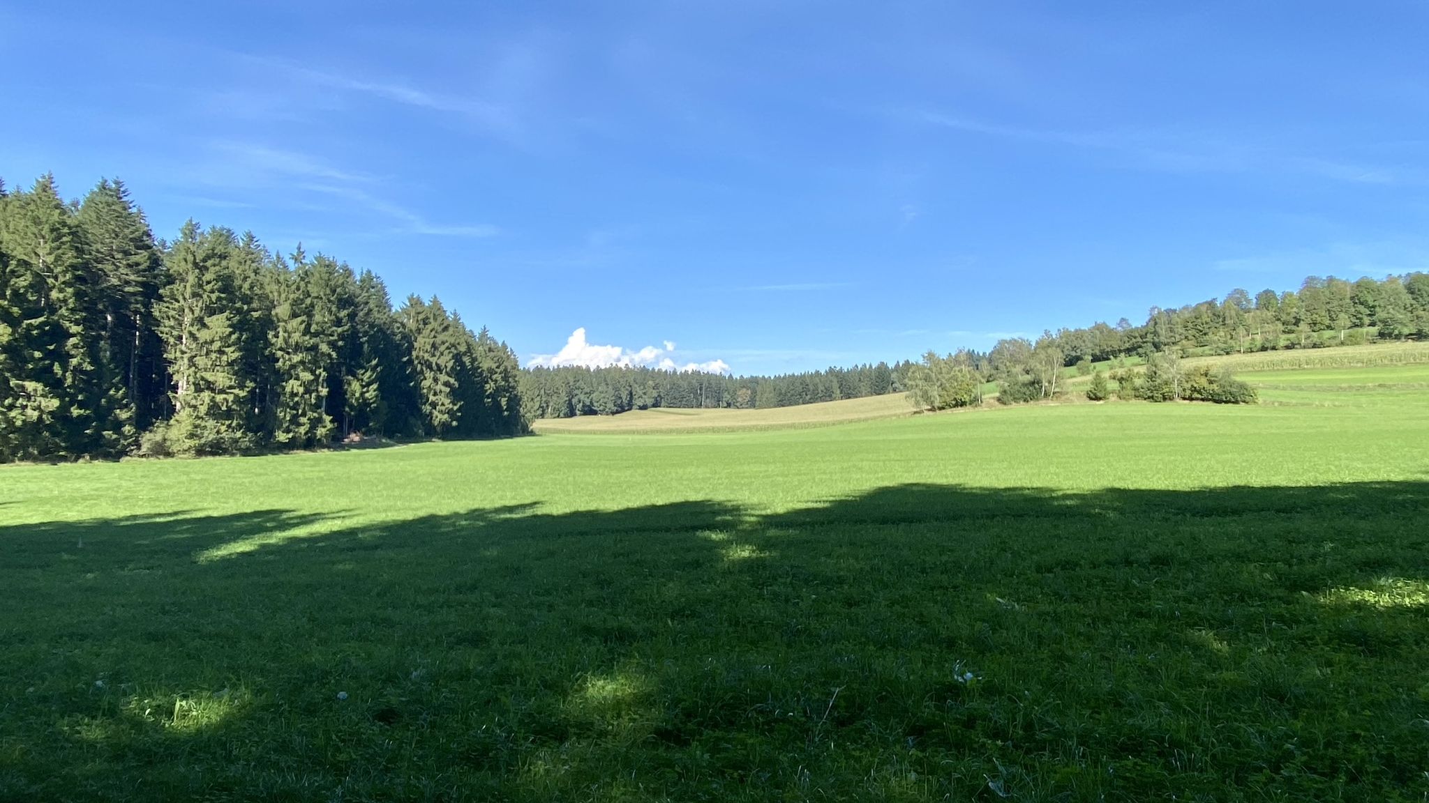 einsames Grenzland