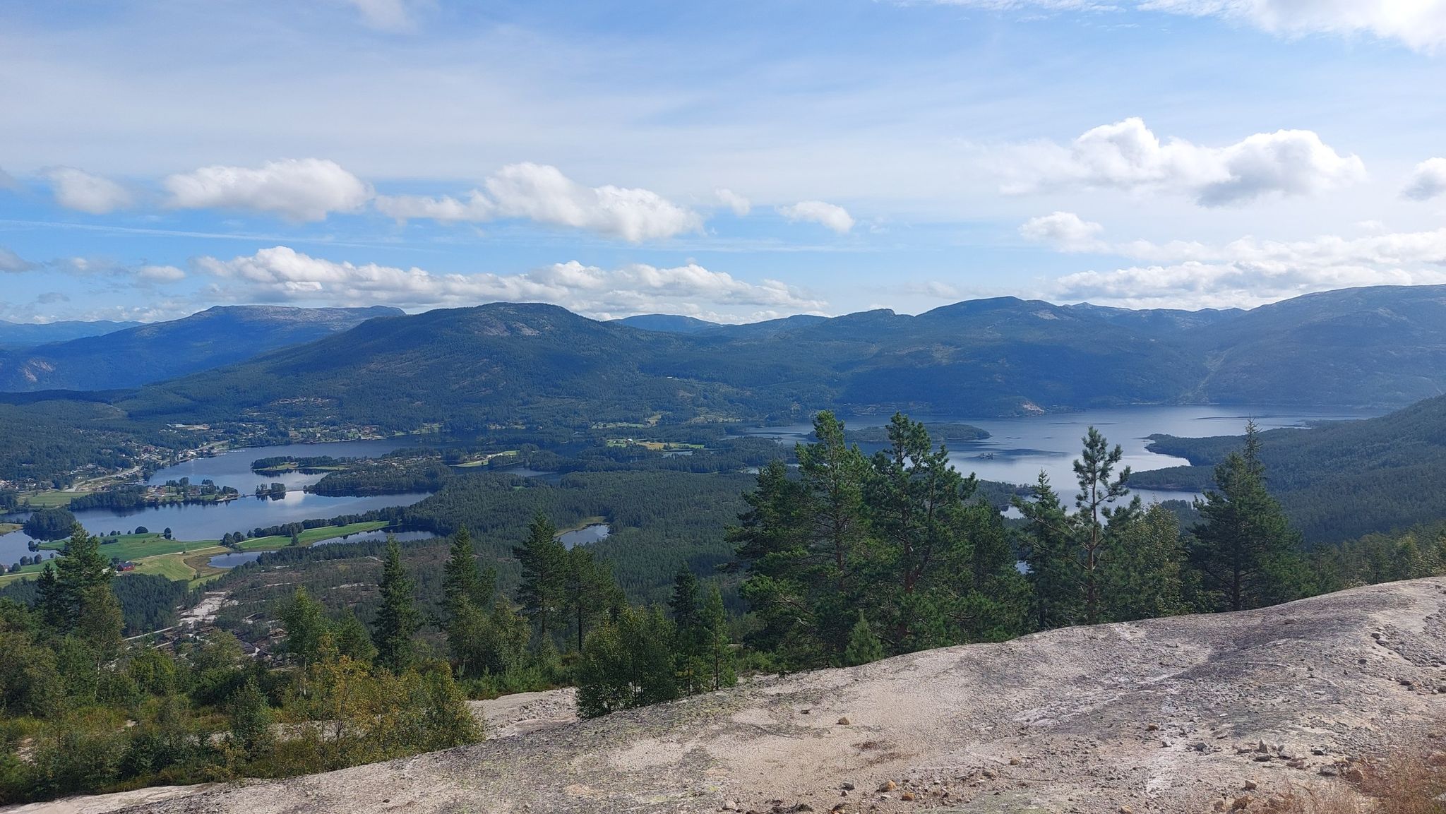 view