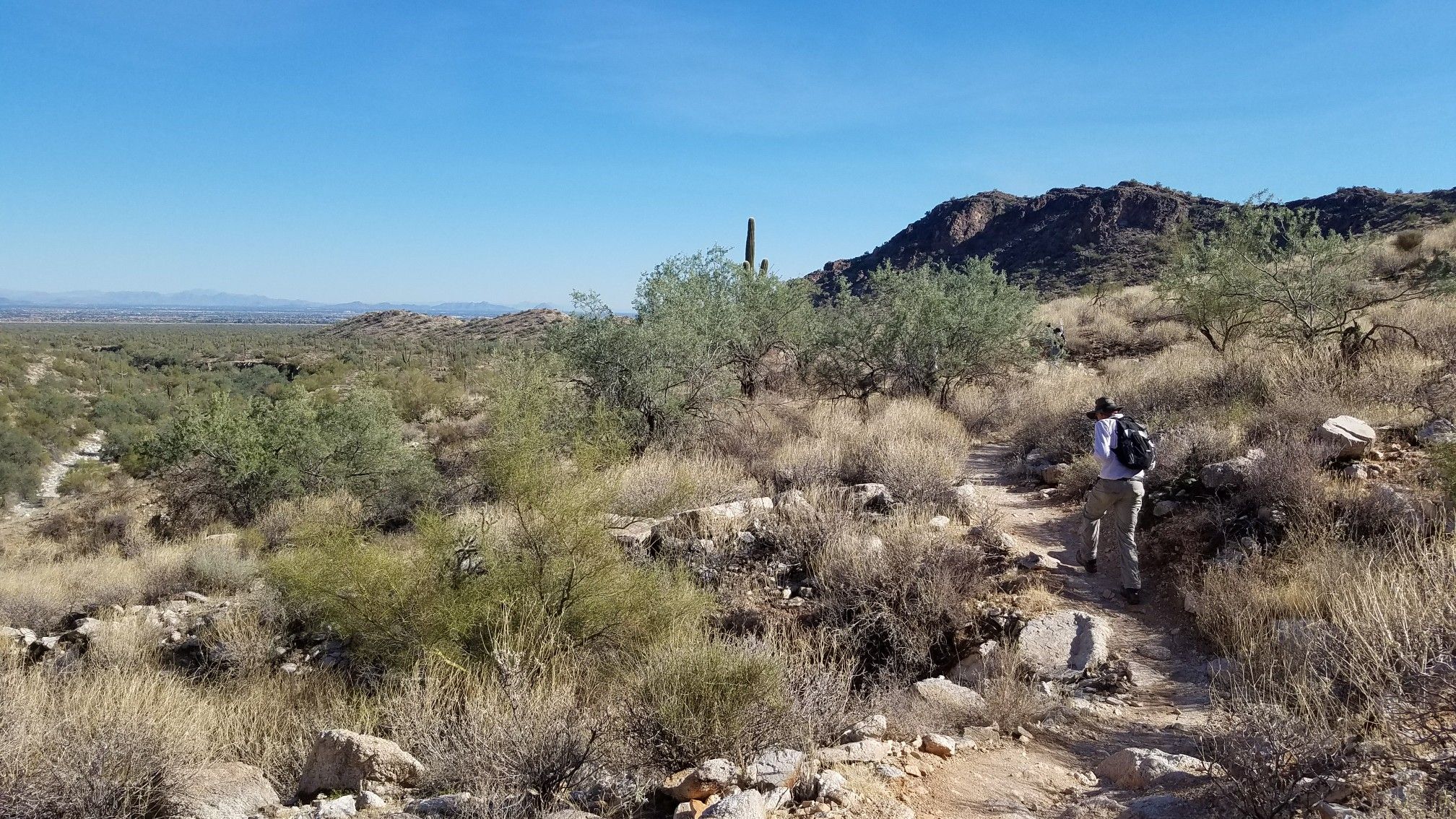 A person with a backpack hikes a desert trail under a clear blue sky. - Waddell and Ford Canyon Trail