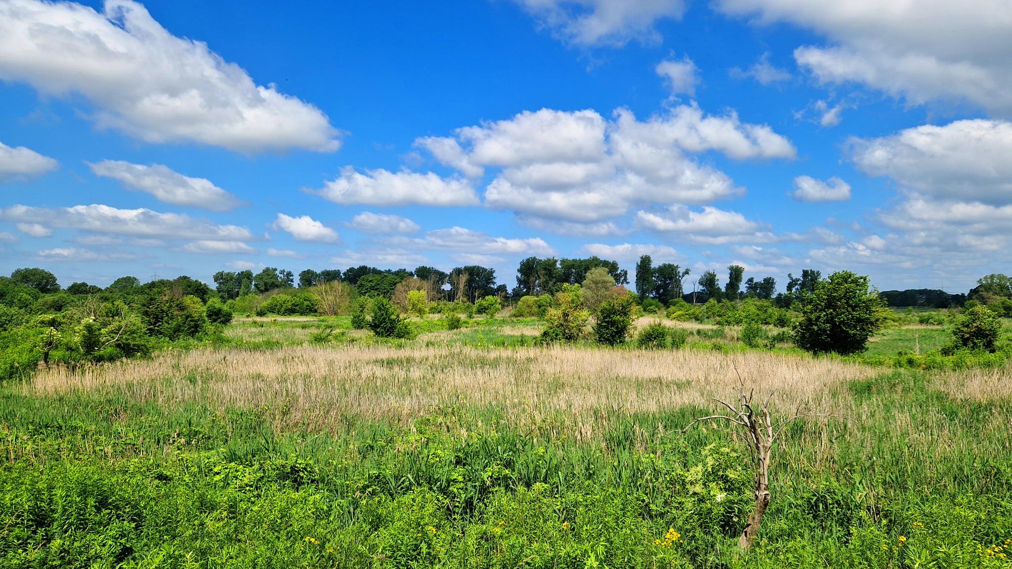 O que fazer em Nsg Lippeaue Von Werne Bis Heil