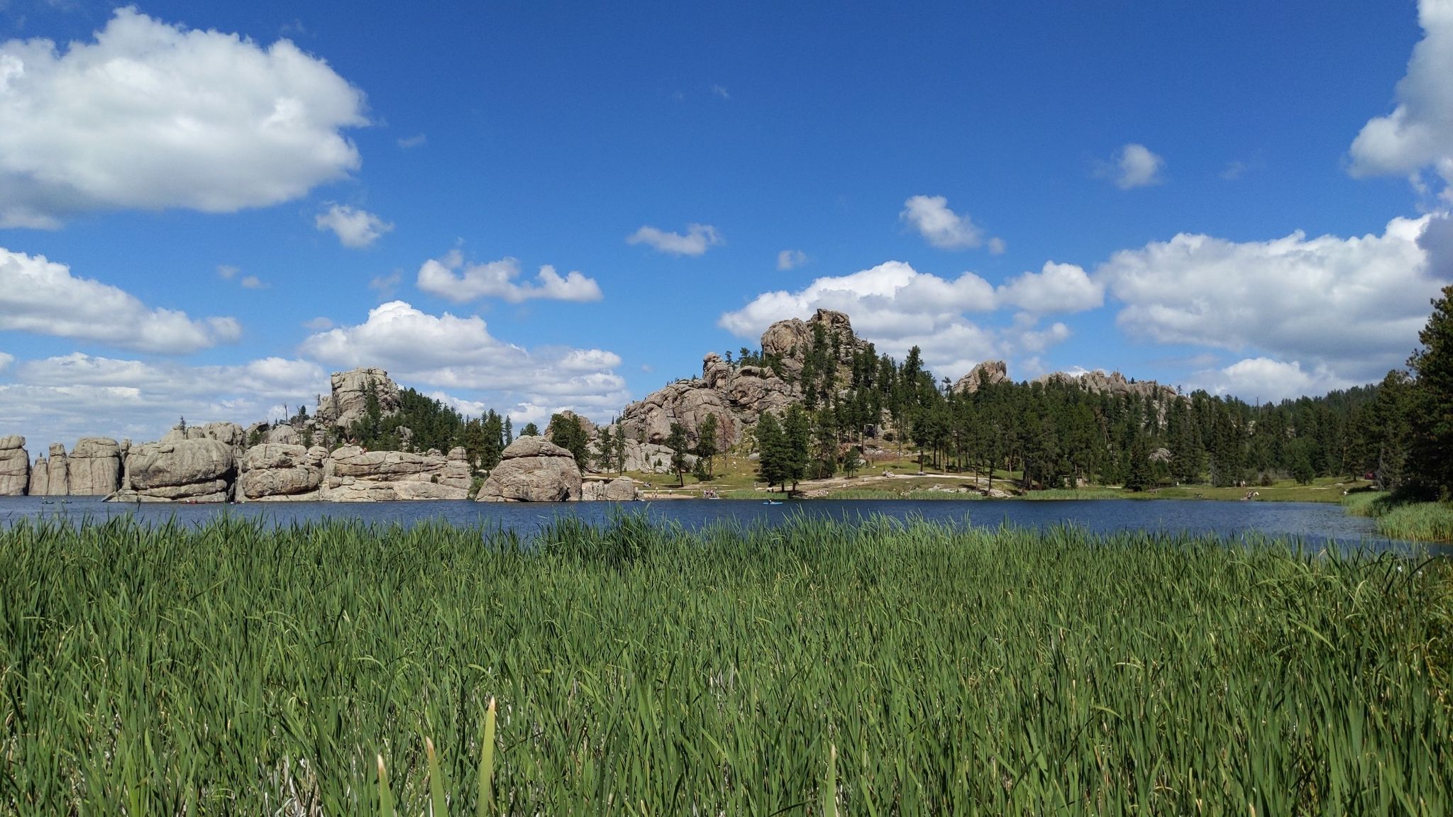 Green reeds in front of a lake, rocky hills, and pine trees. - Sylvan Lake Shore Trail