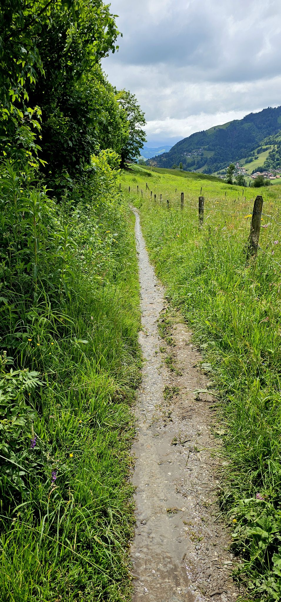 Einen Grossteil der Strecke, legt man im Gänsemarsch zurück