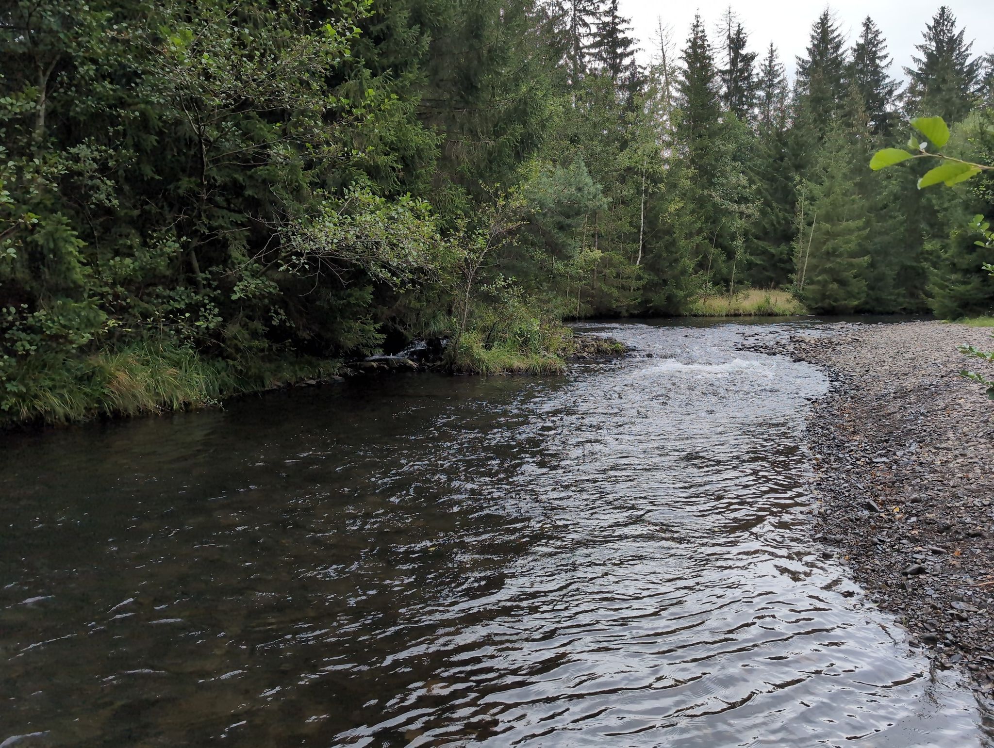 An der Innerste entlang