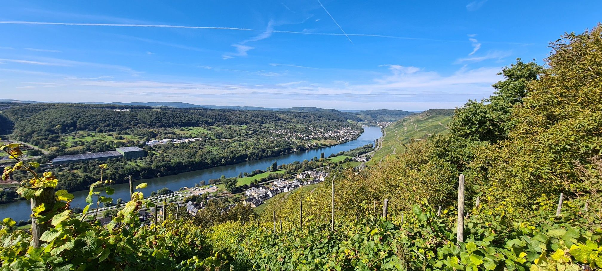 Wehlen mit der Hängebrücke über die Mosel